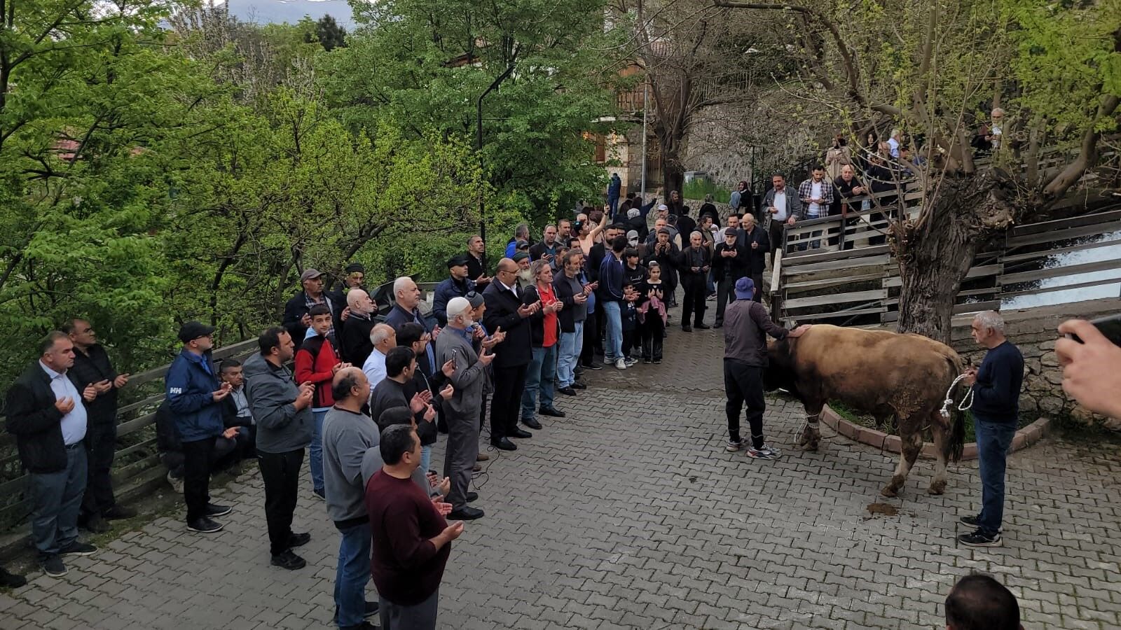 şükür kurbanı geleneği