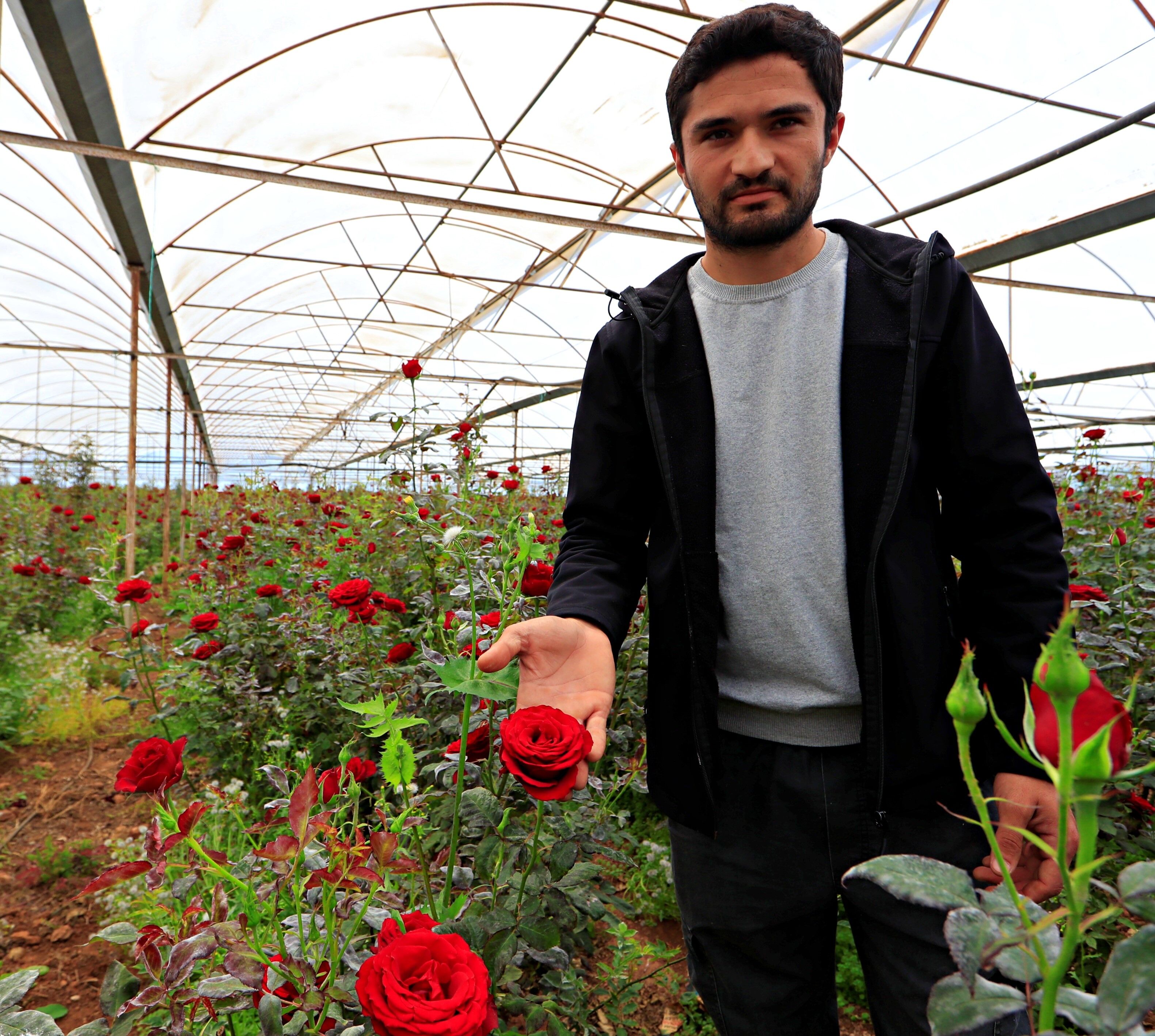 Seradan 20 TL’ye çıkan gül tezgahta 200 TL - 4