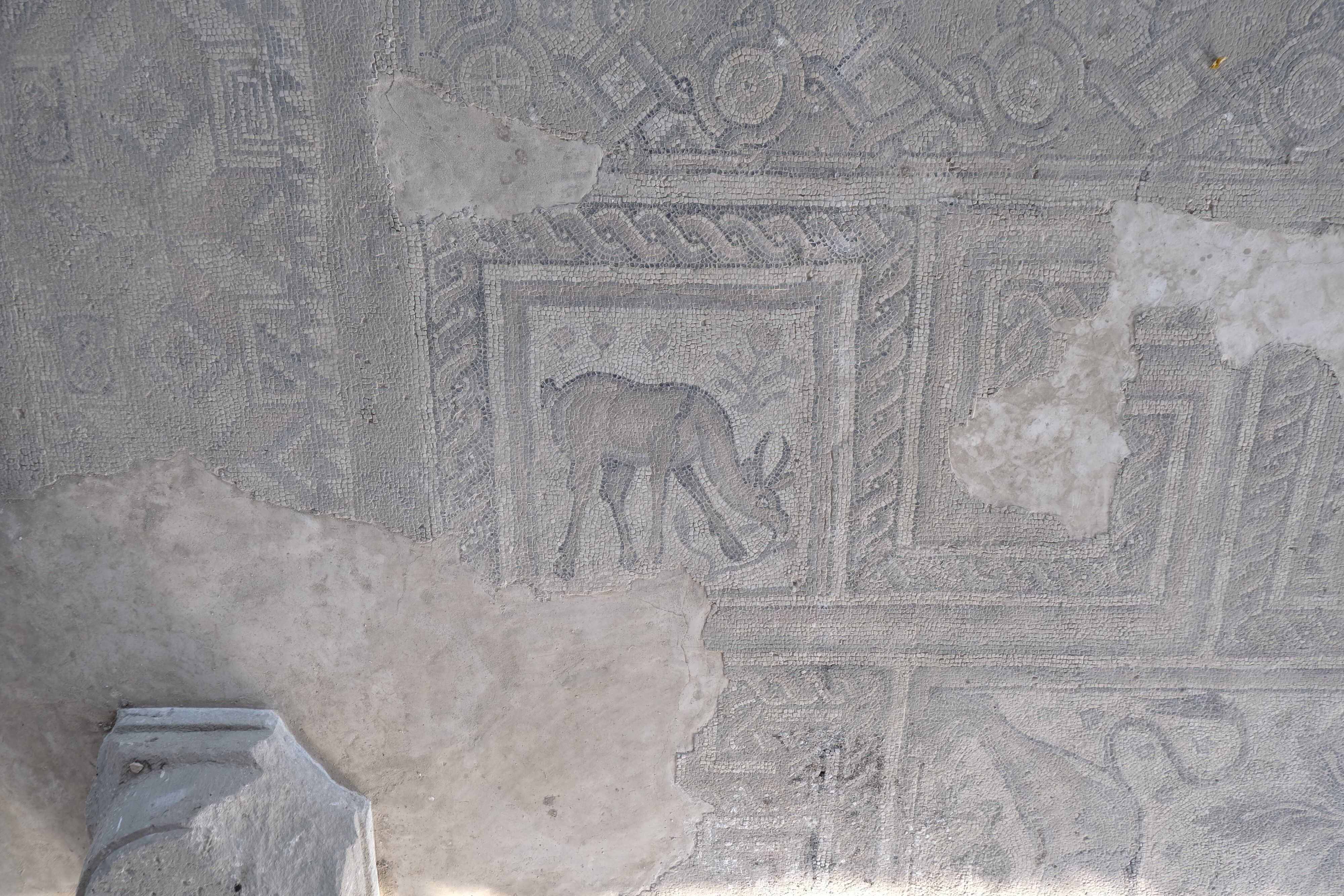 Anıttepe3 (2)