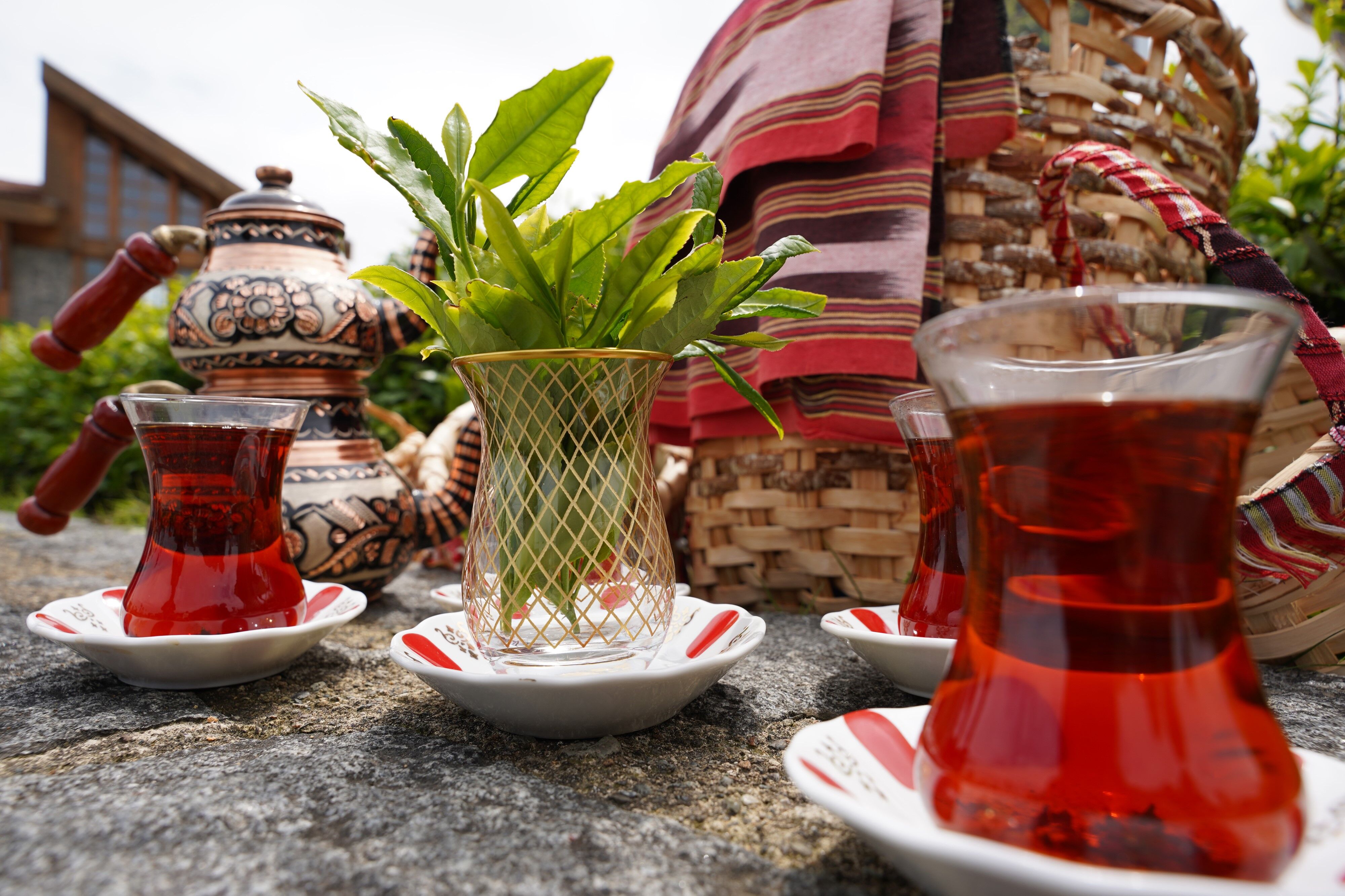 Dünya Çay Günü (1)