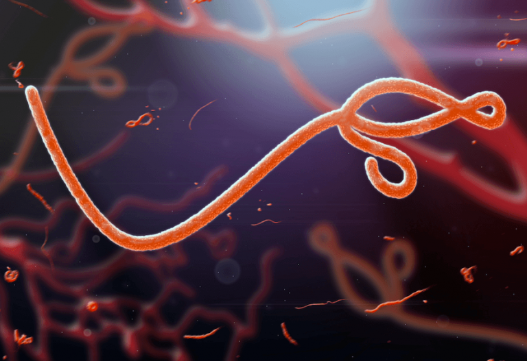 Ebola