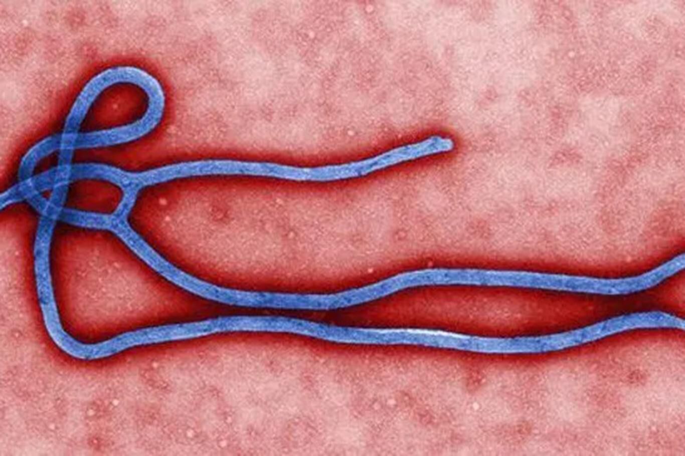 Ebola2