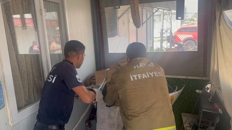 Hatay Yılan