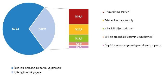 İş Ile Bakım Sorumluluğunu Birlikte Yürütmeyi Zorlaştıran Etkenler, 2025