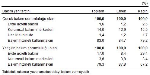 İstihdamda Olanların Bakım Yeri Tercihi, 2025