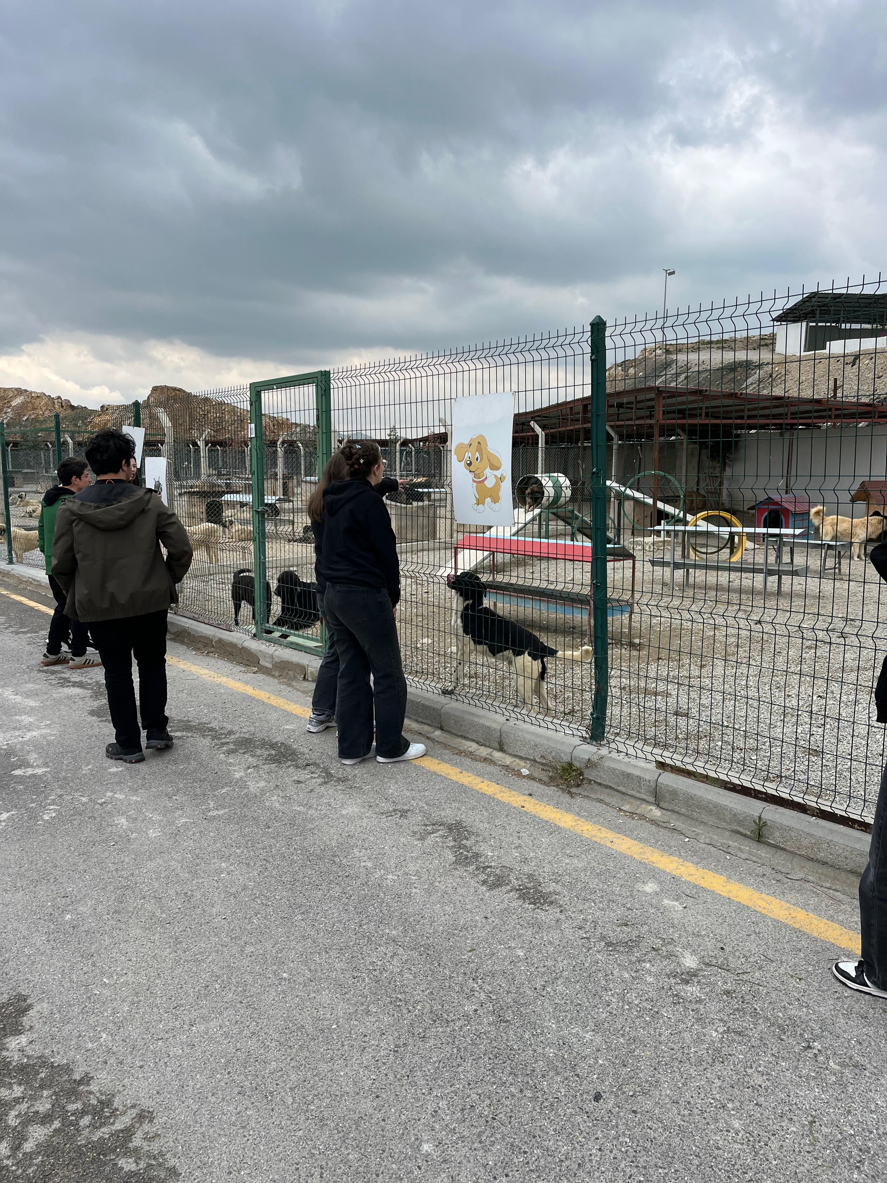 Mamak’ta Gençler Can Dostlarla Buluştu (4)