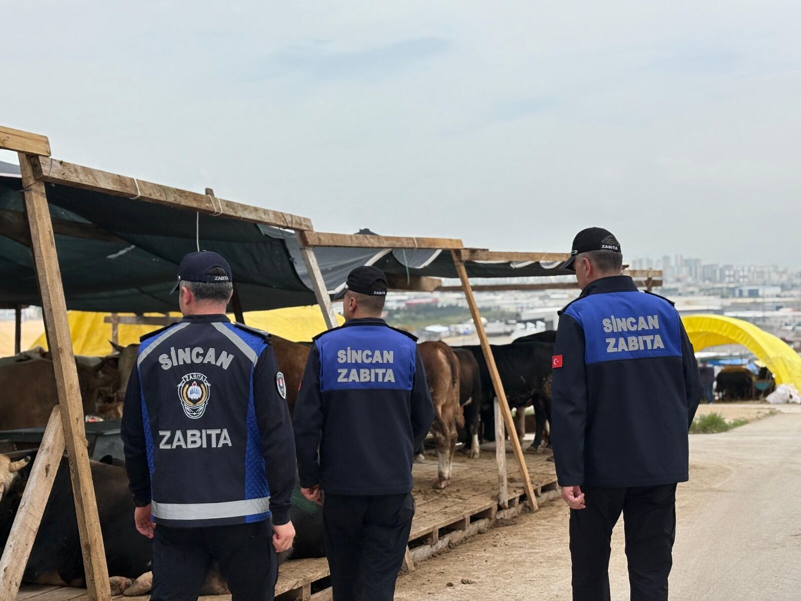 Sincan’da Kurban Kesimleri (3)