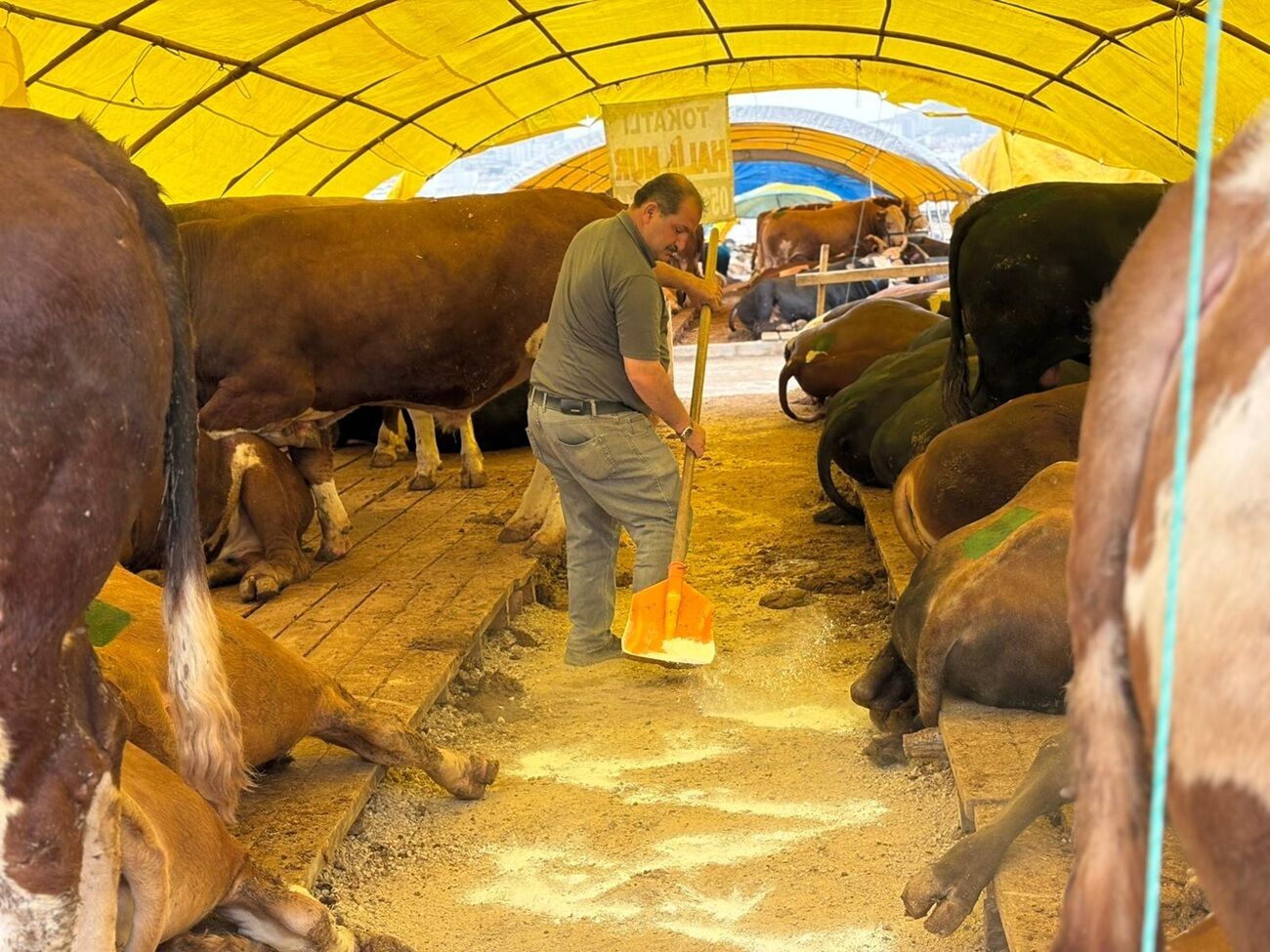 Sincan’da Kurban Pazarlarında Ilaçlama Çalışması 3