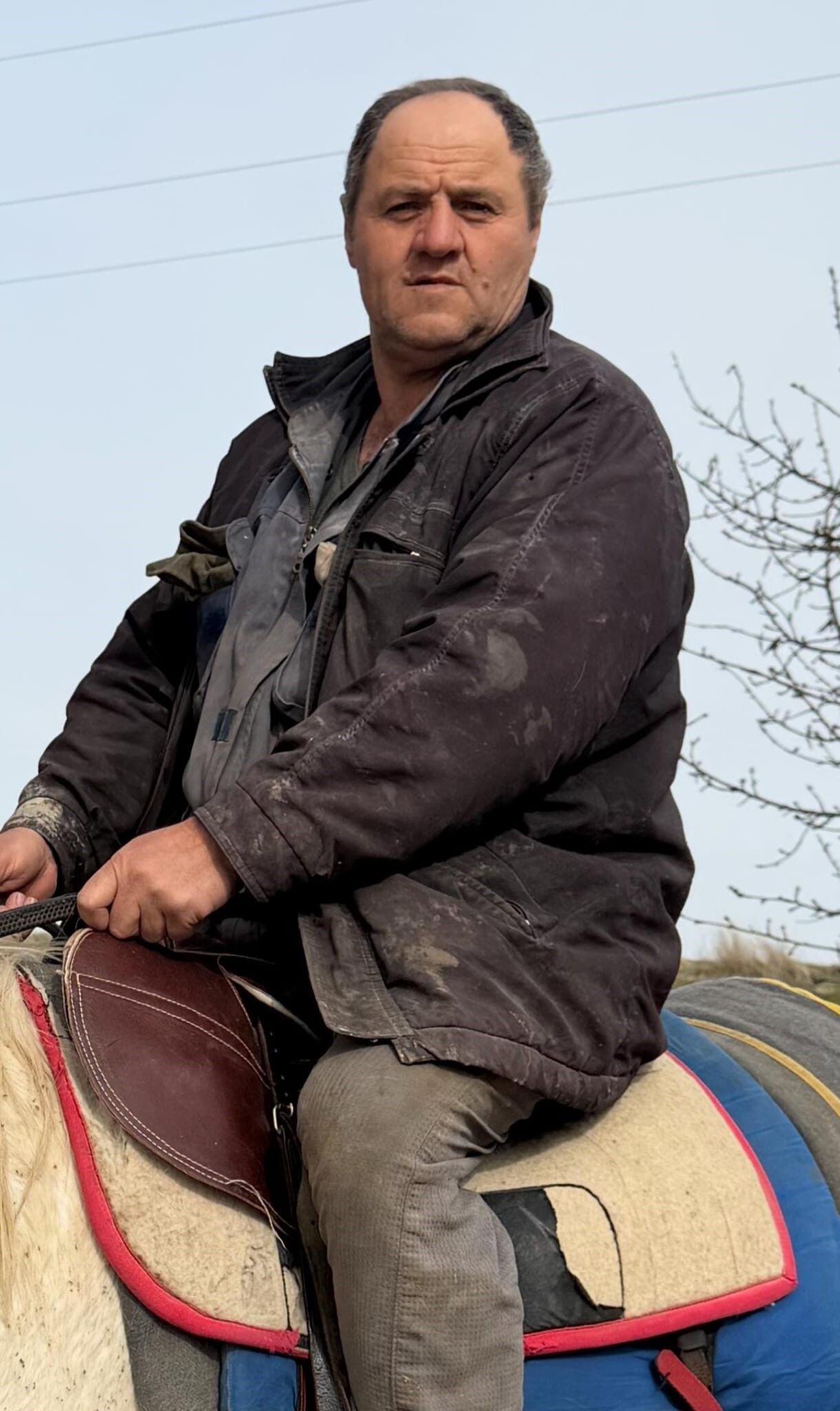 Tansel Gökmen