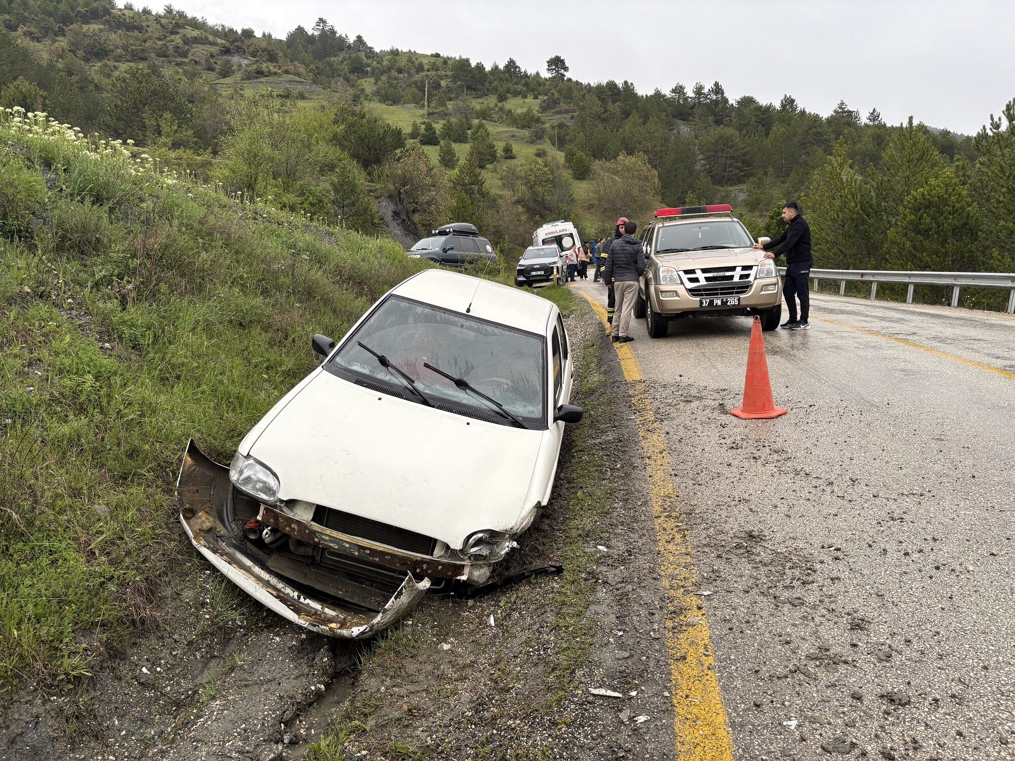 Tosya (2)-1