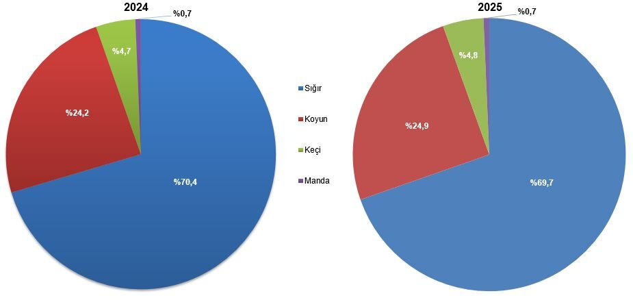 Türkiye’de Kırmızı Et Üretimi Bir Önceki Yıla (1)