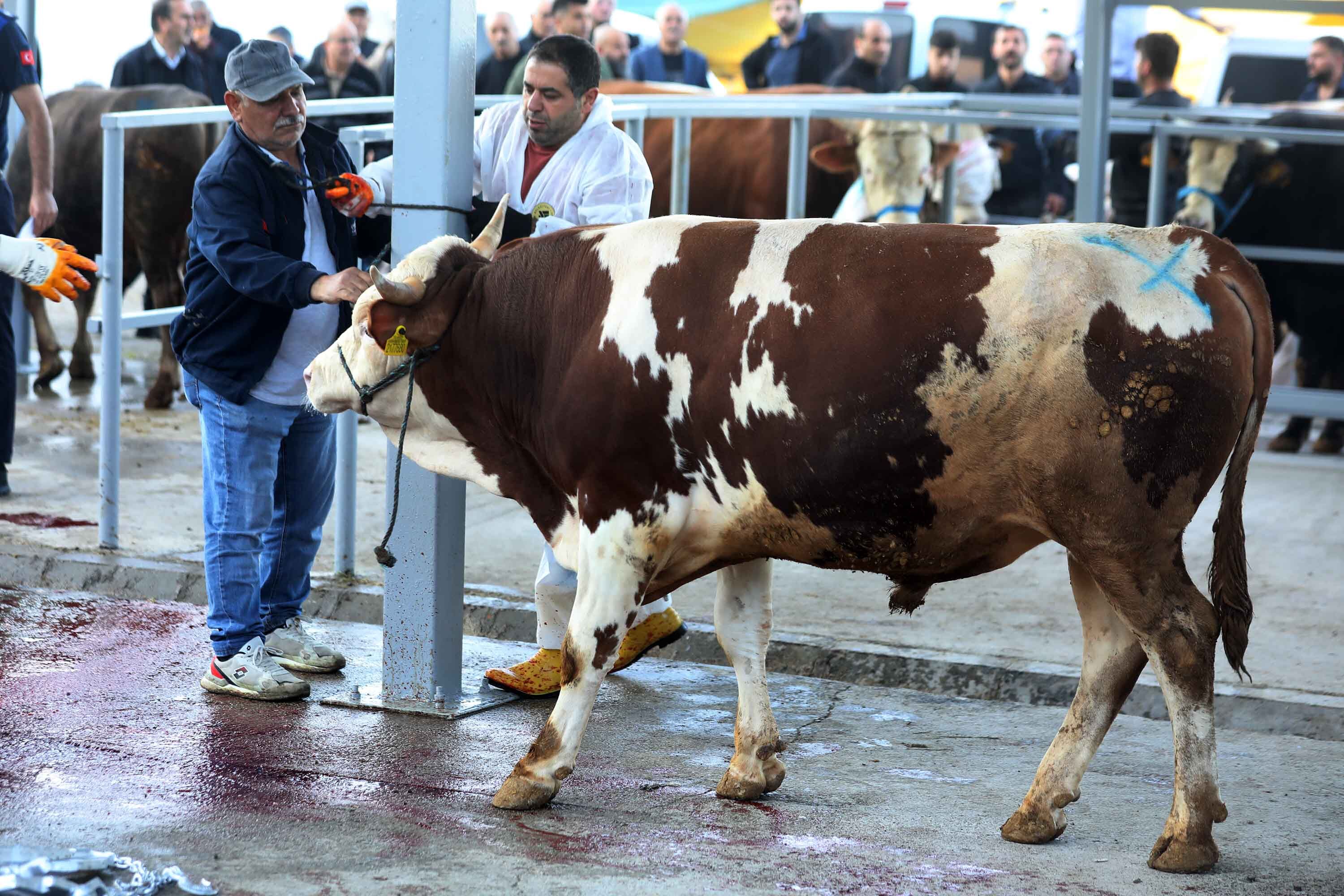 Yenimahalle’de kurban kesim alanları doldu taştı - 4