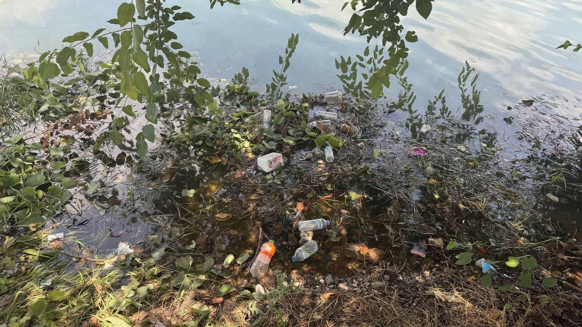 Adana Seyhan (2)