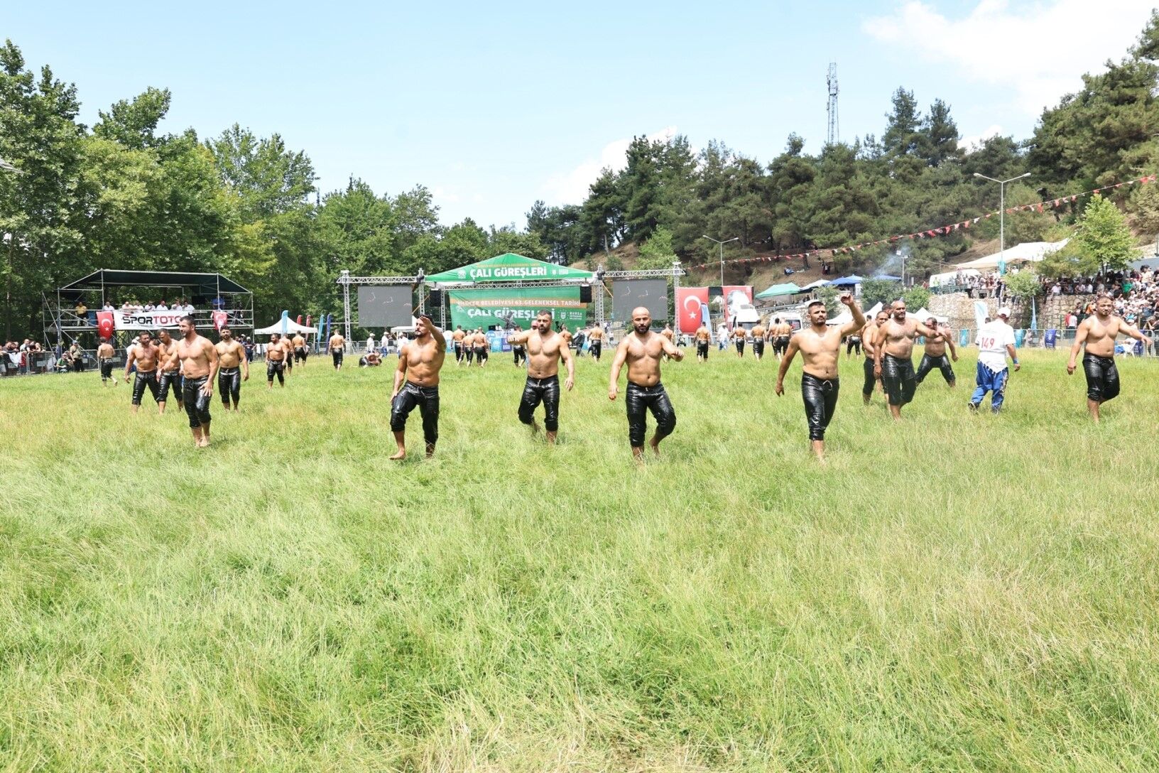 Çalı (2)