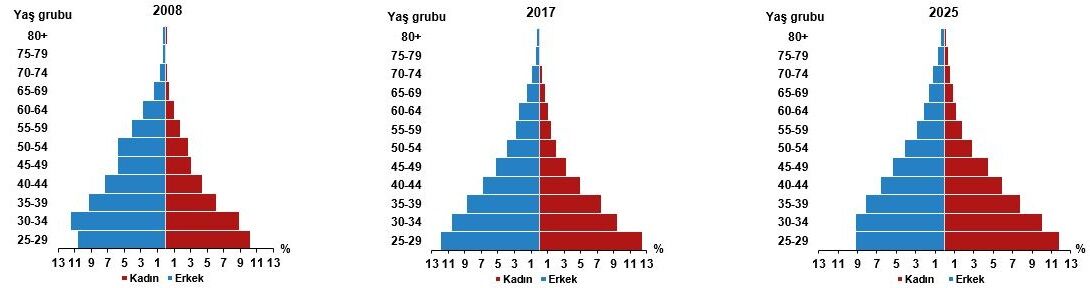 Cinsiyet Ve Yaş Grubuna Göre Yükseköğretim Mezunlarının Dağılımı, 2008 2025