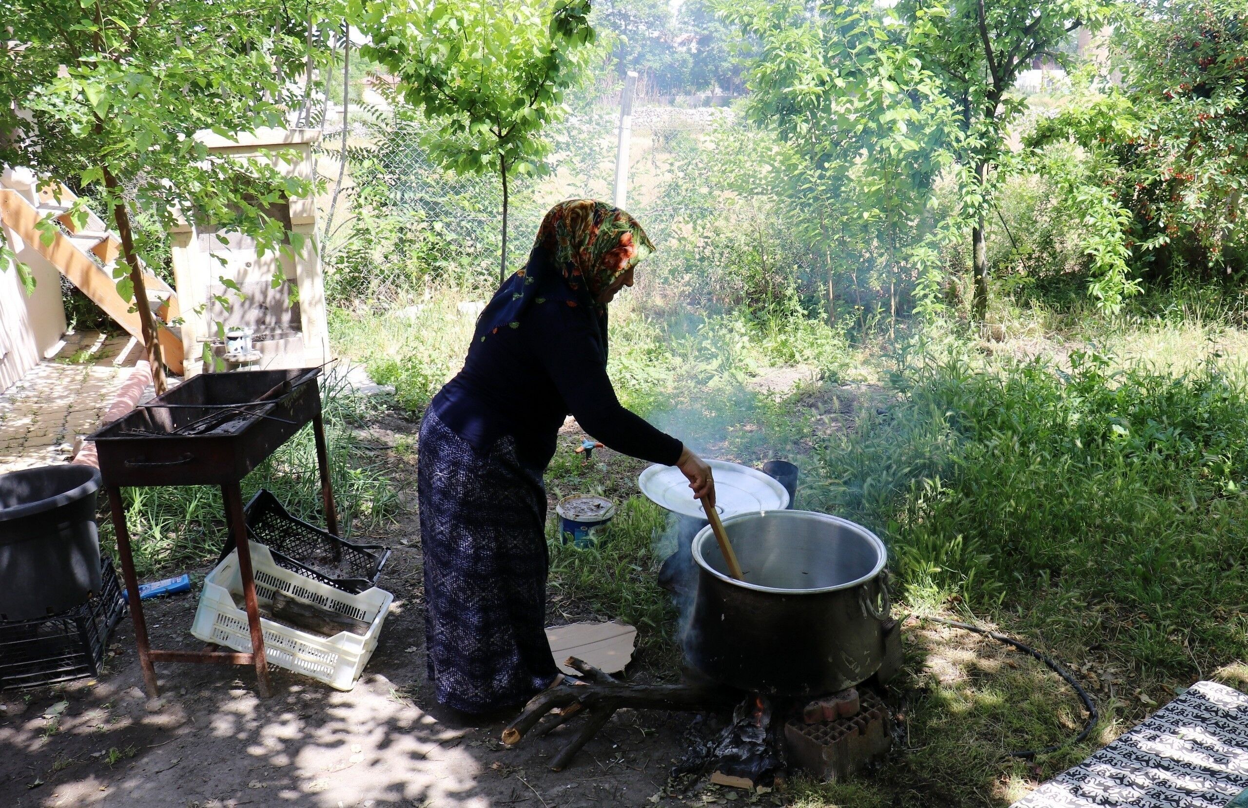 Dut Pekmezi (2)