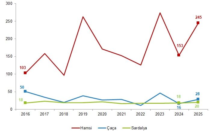 En Çok Avlanılan Deniz Balıkları