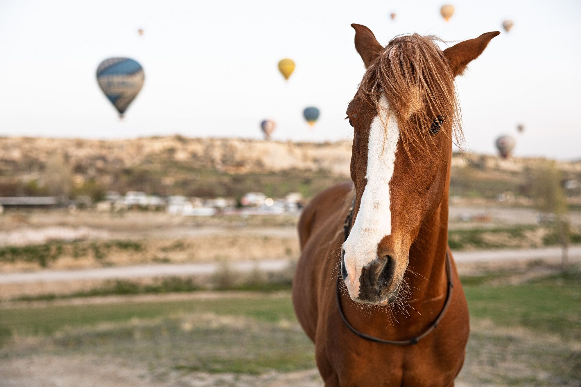Göreme (1)