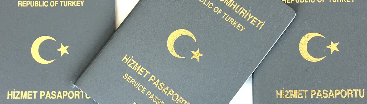 Gri Pasaport