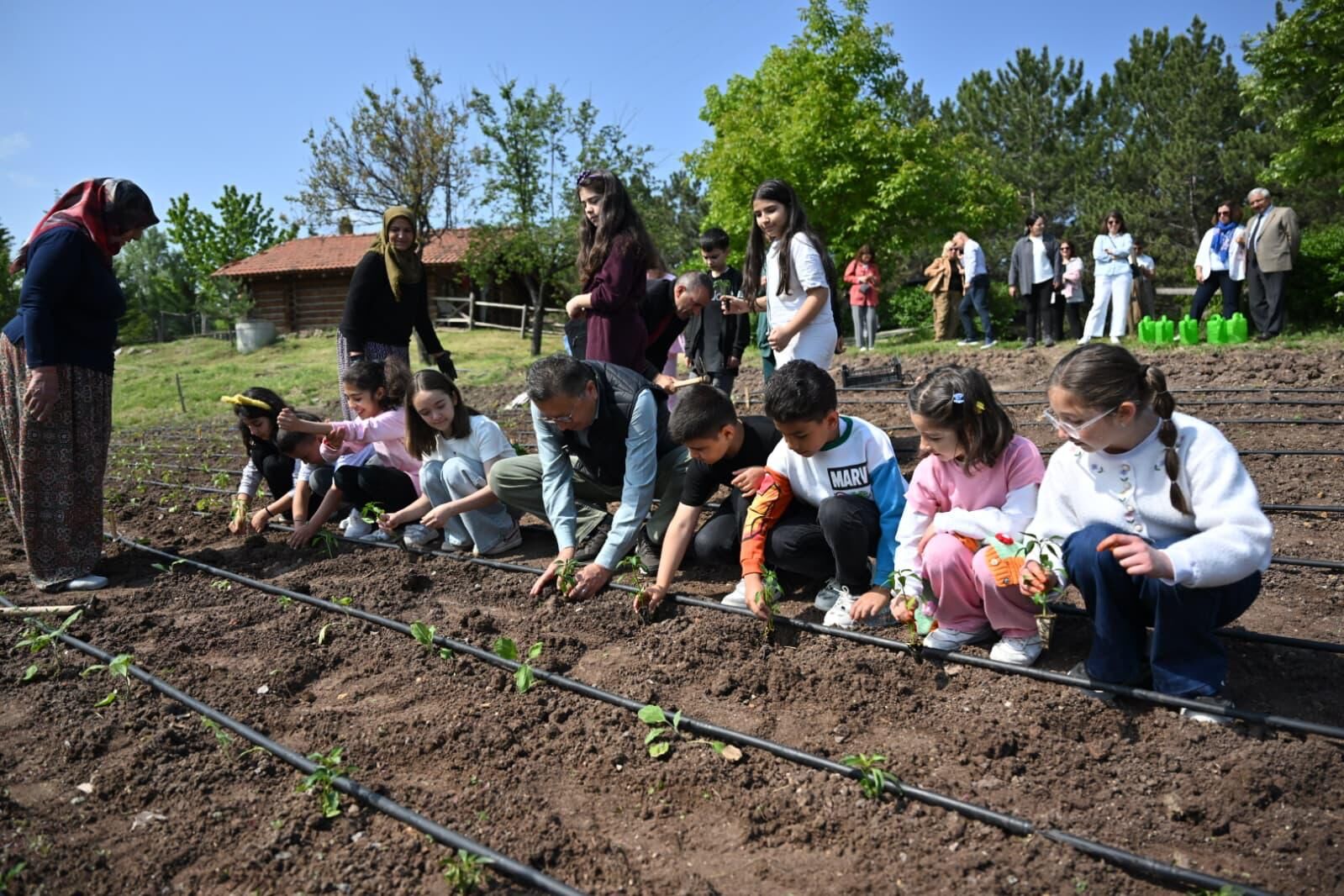 Haydi̇ Çocuklar Bostana (5)
