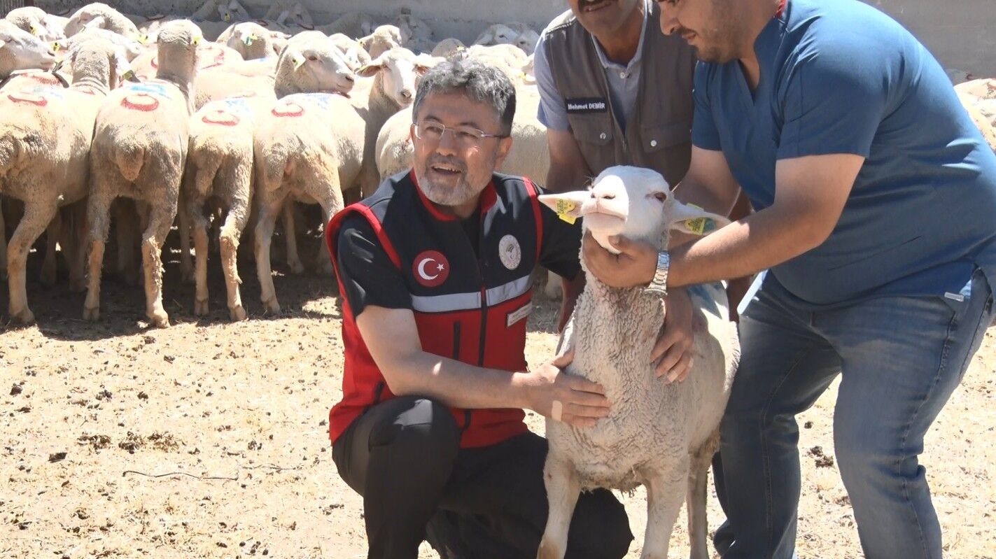 Ibrahim Yumaklı (8)