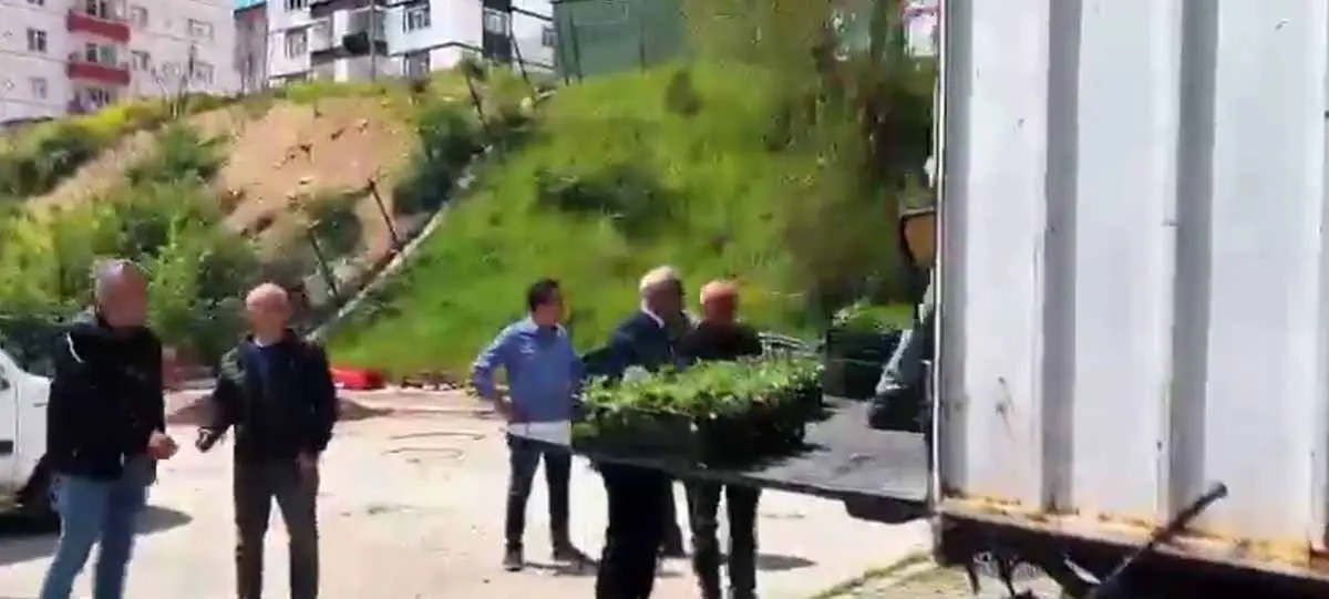 Kizilcahamamda Cilek Fidesi Dagitimi Yapildi 02062026 Iha 1 Mosci7Yv