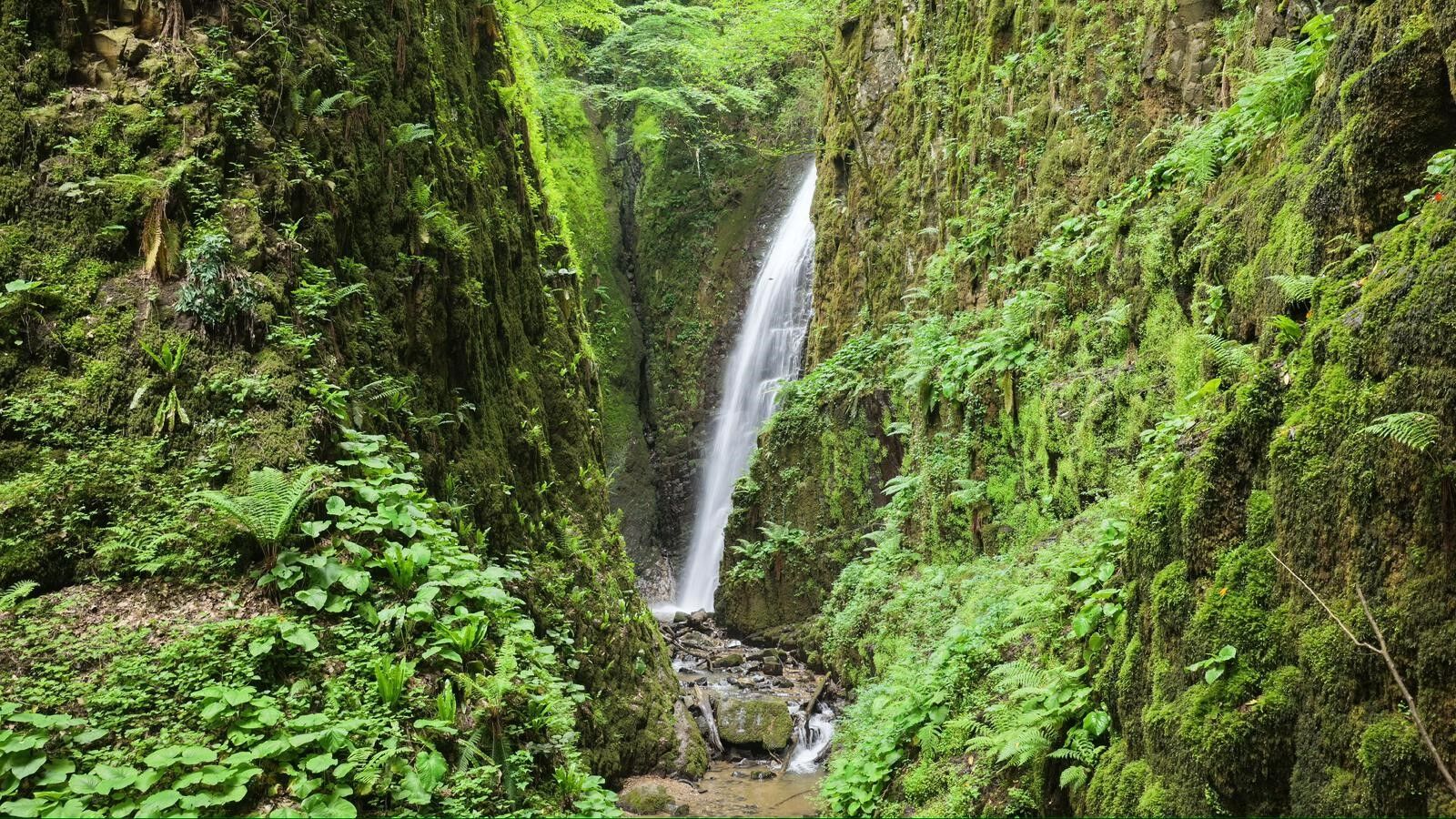 Nüzhetiye Şelalesi (4)