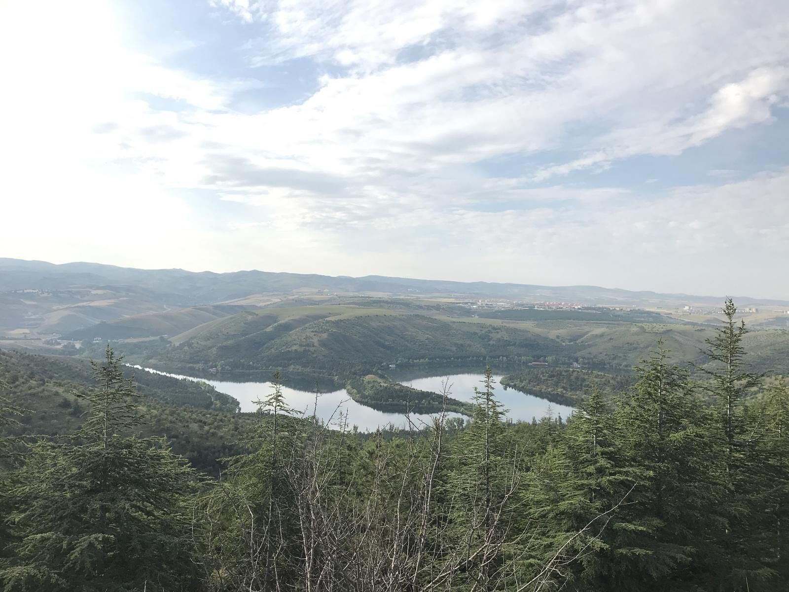 Odtü Koşu