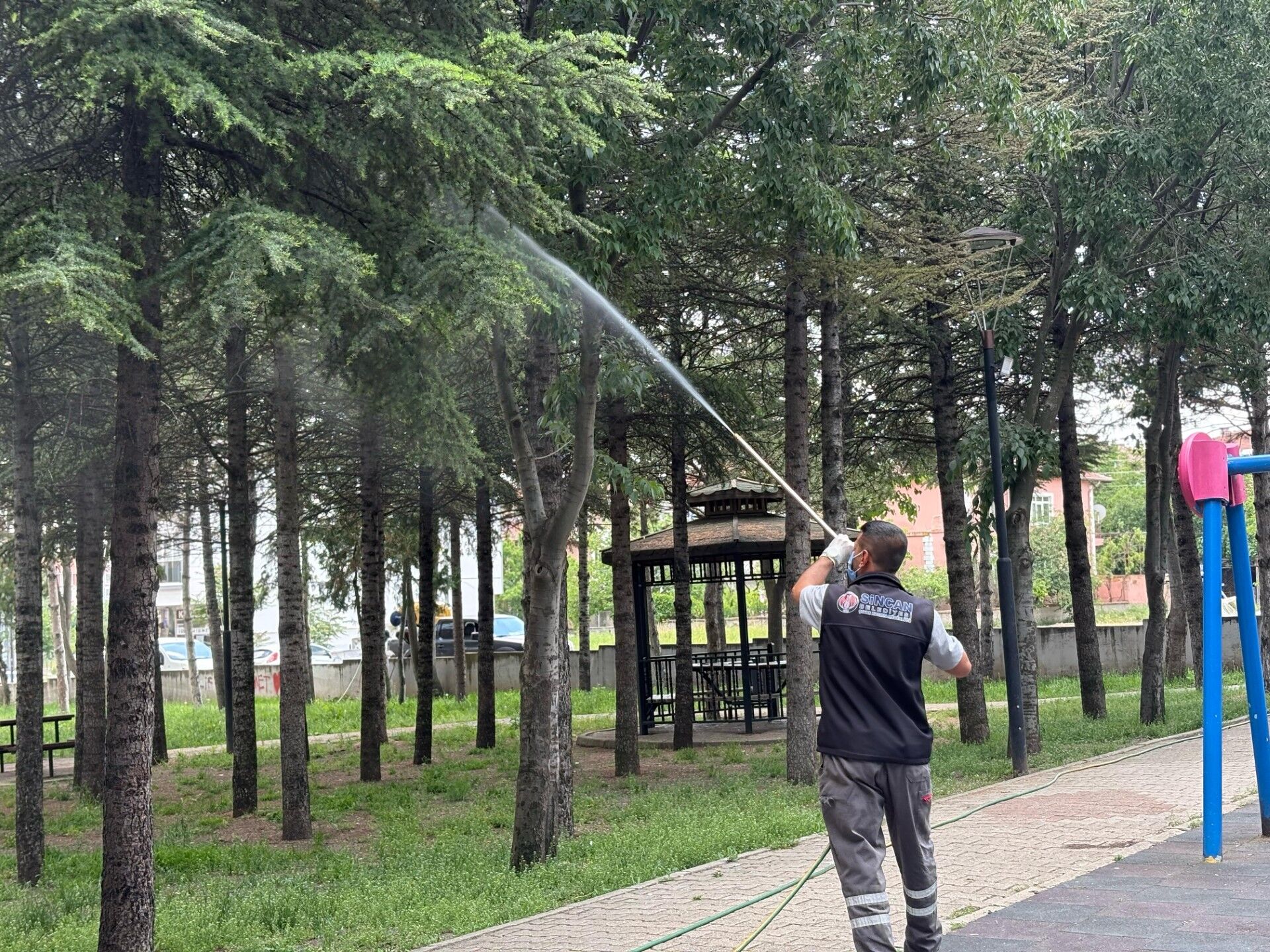 Sincan Belediyesi Parkları Yaz Boyunca Ilaçlayacak (3)