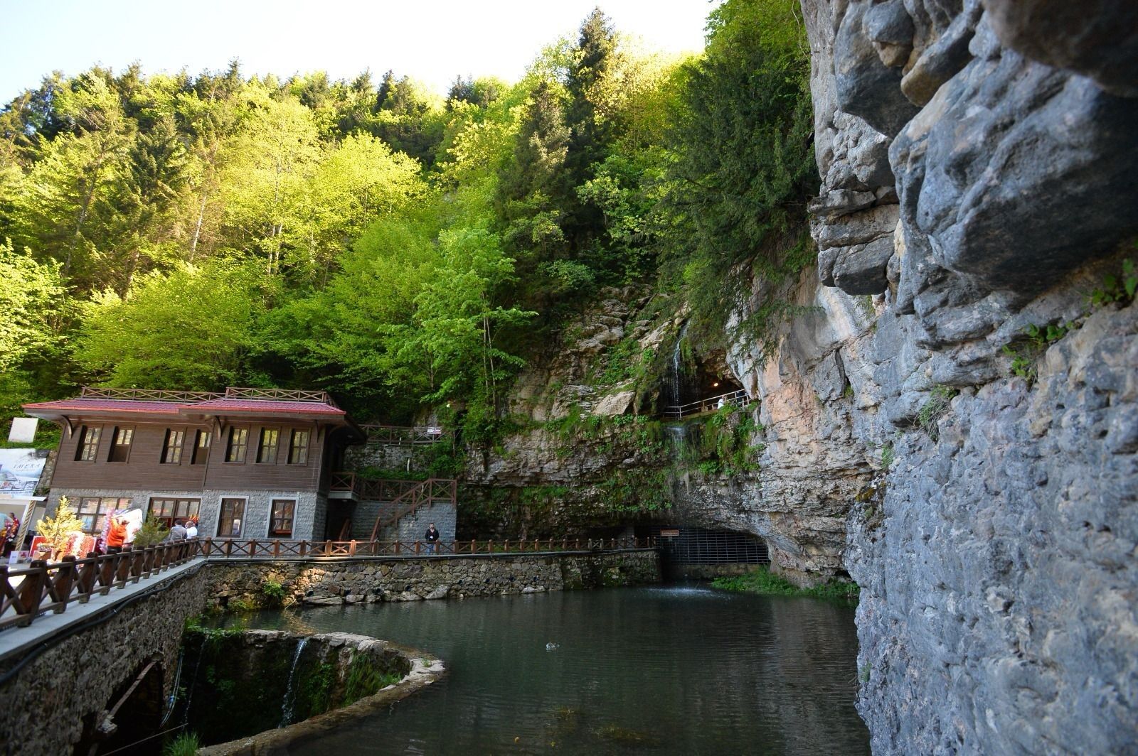 Tarbzon (3)-1