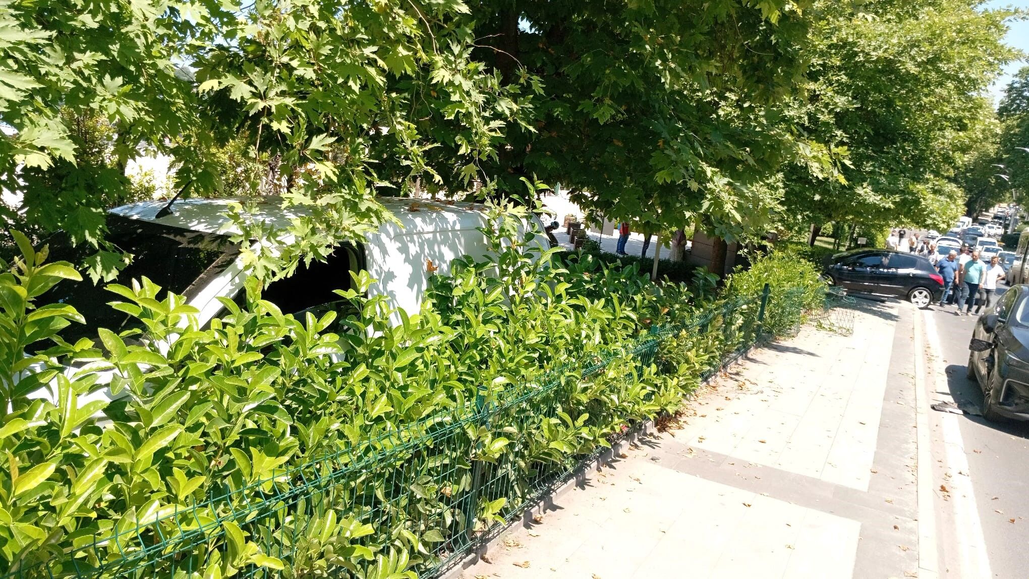Zonguldak (17)