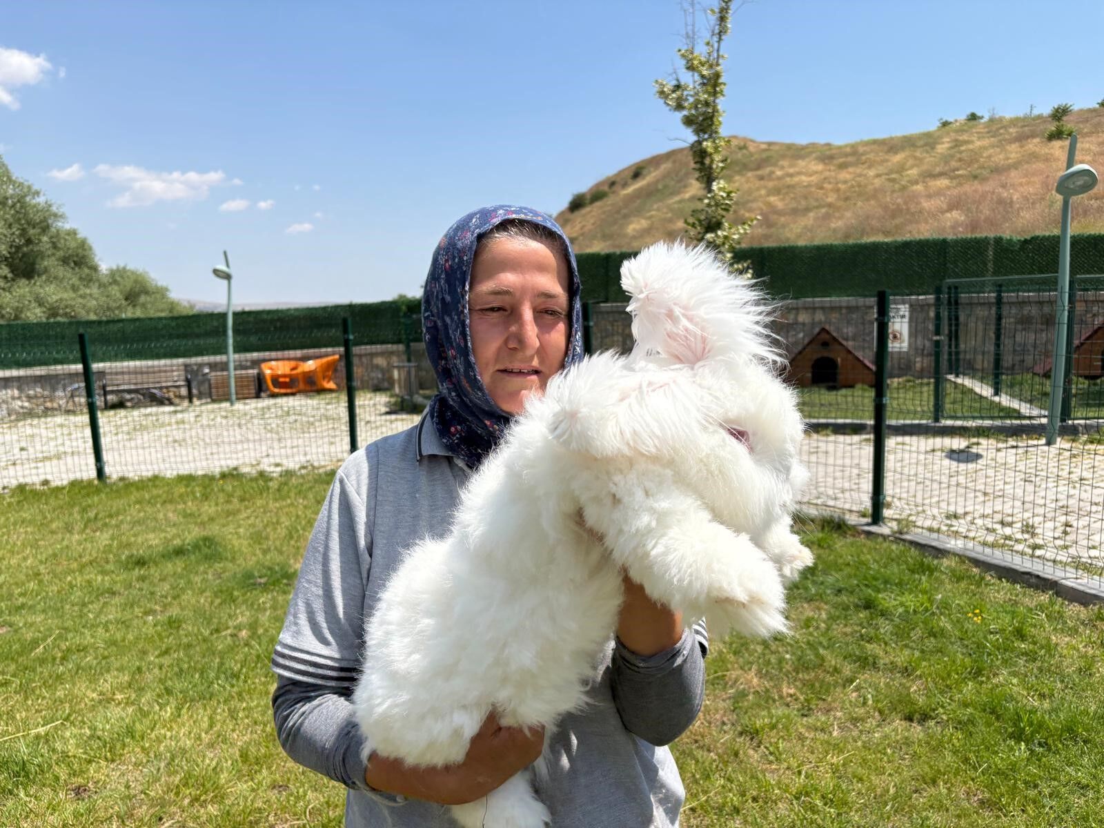 Ankara Tavşan Bahçesi (2)