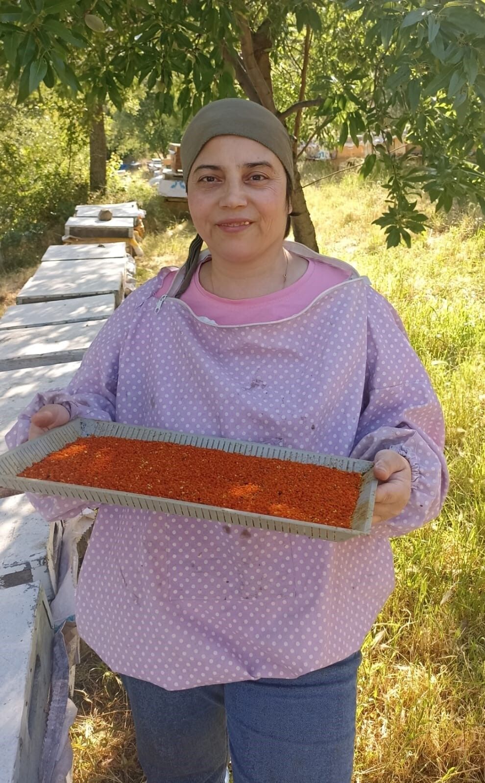 Arı (7)