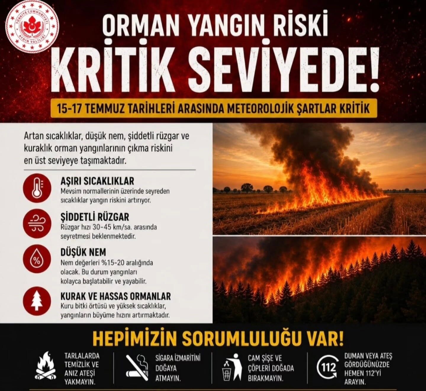 Aydın Yangın2