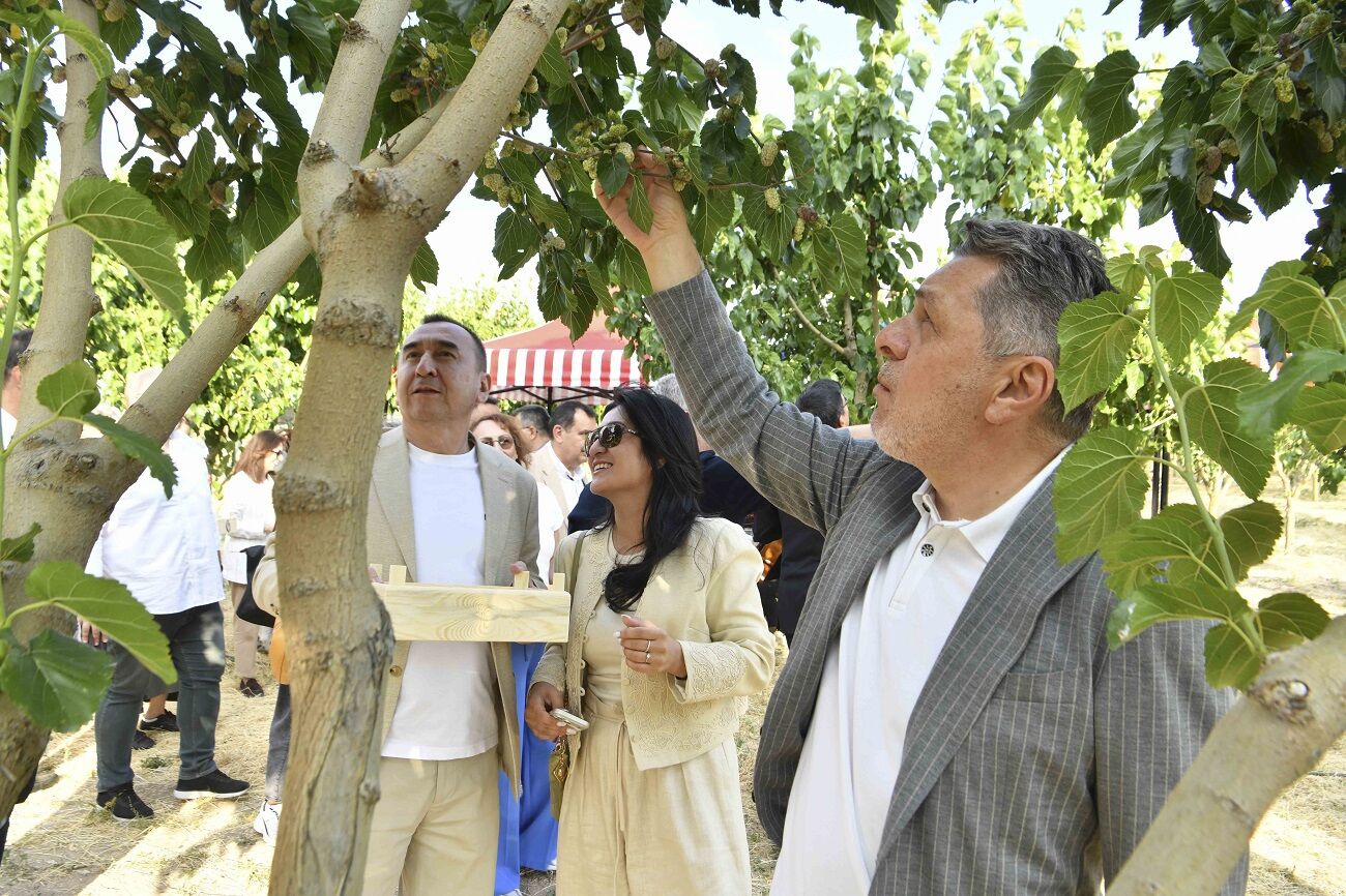Büyükelçiler Ata Çiftliği'nde Hasat Şenliğine Katıldı (2)
