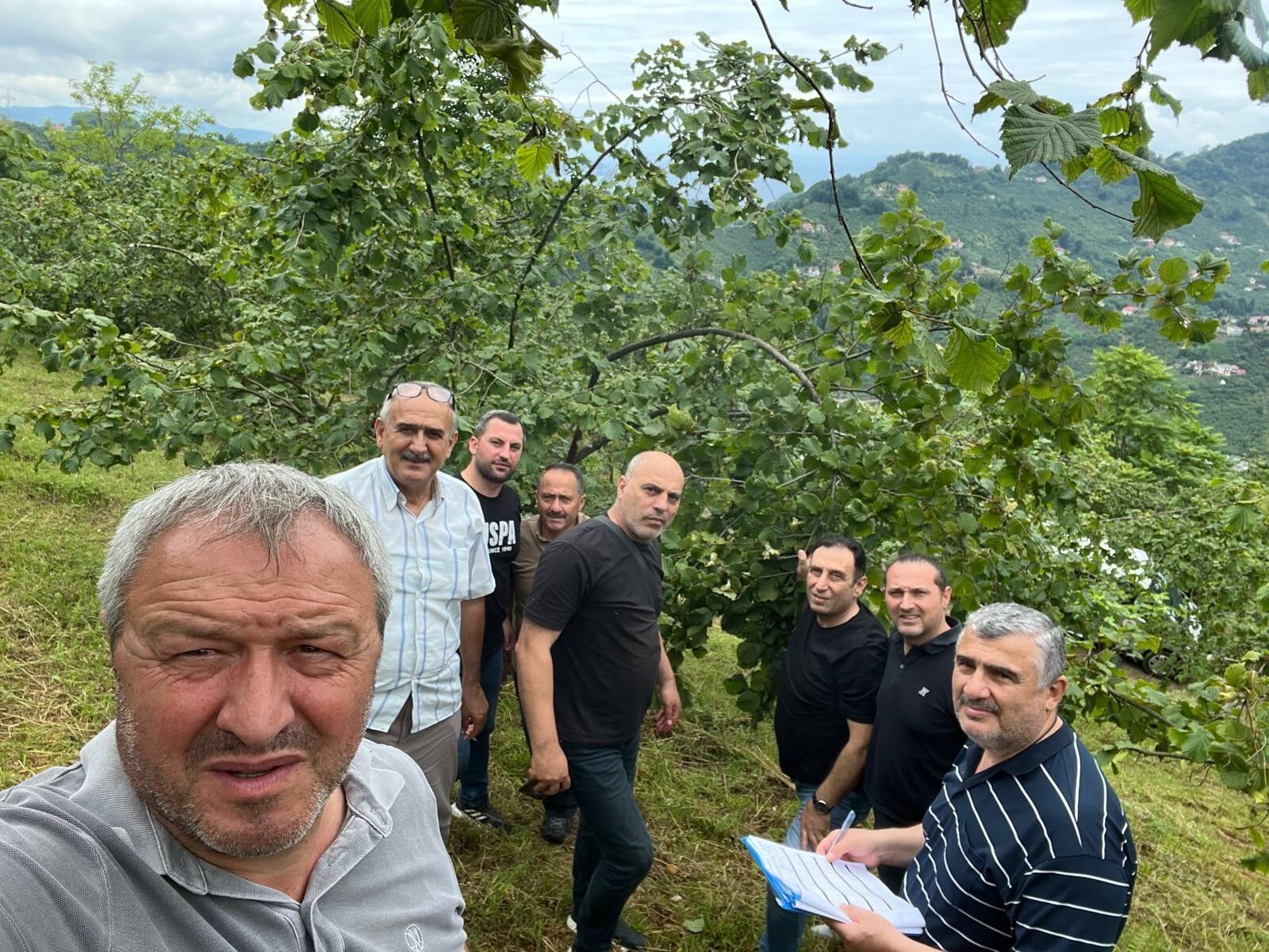 Fındık Rekolte (2)