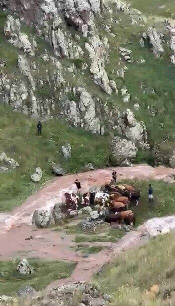 Kars (11)-1