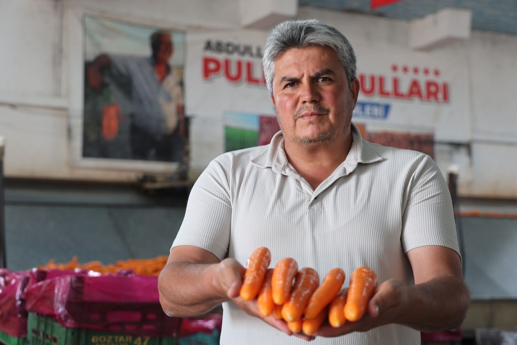 Konya Havuç (2)
