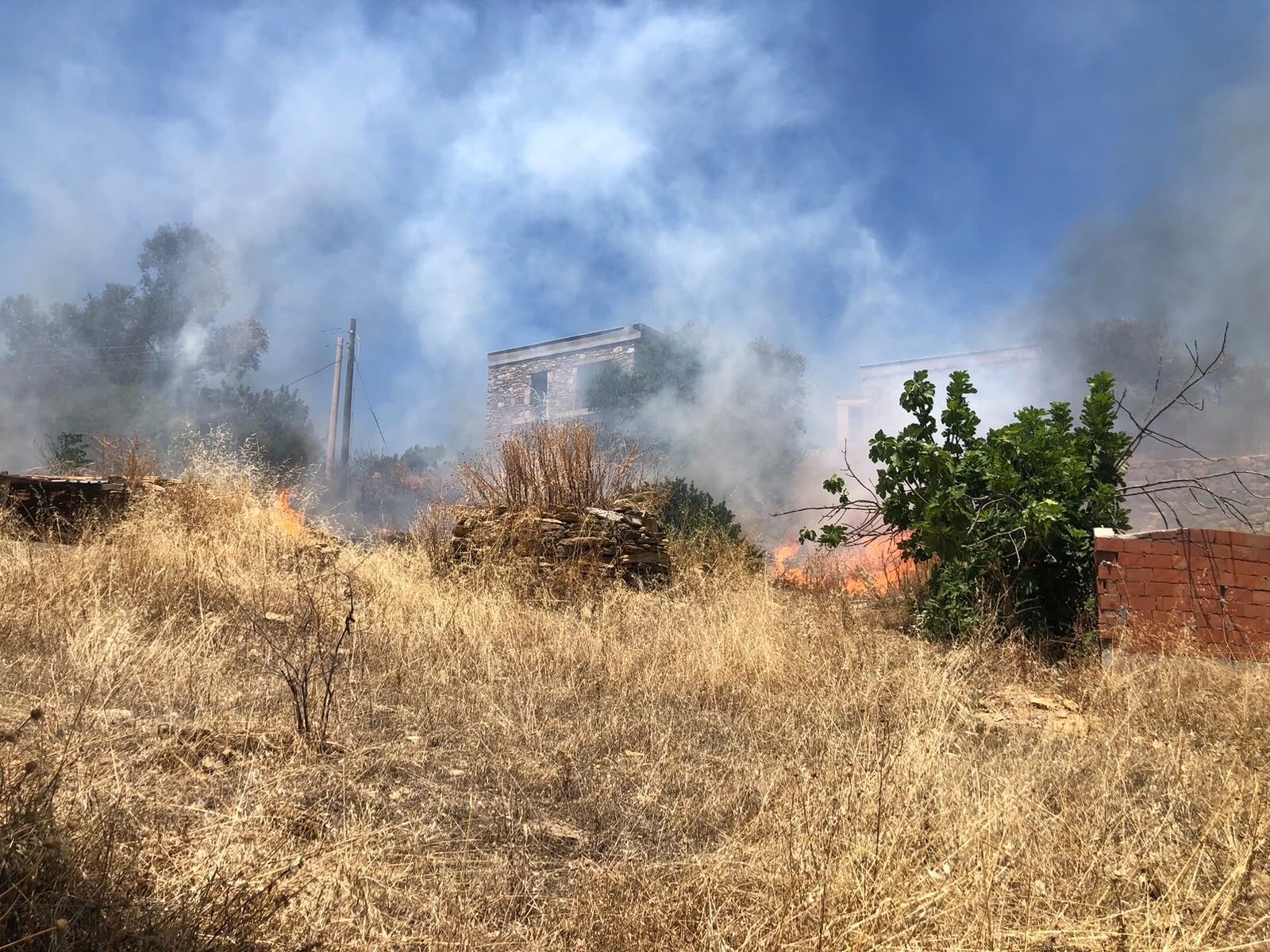 Muğla (70)