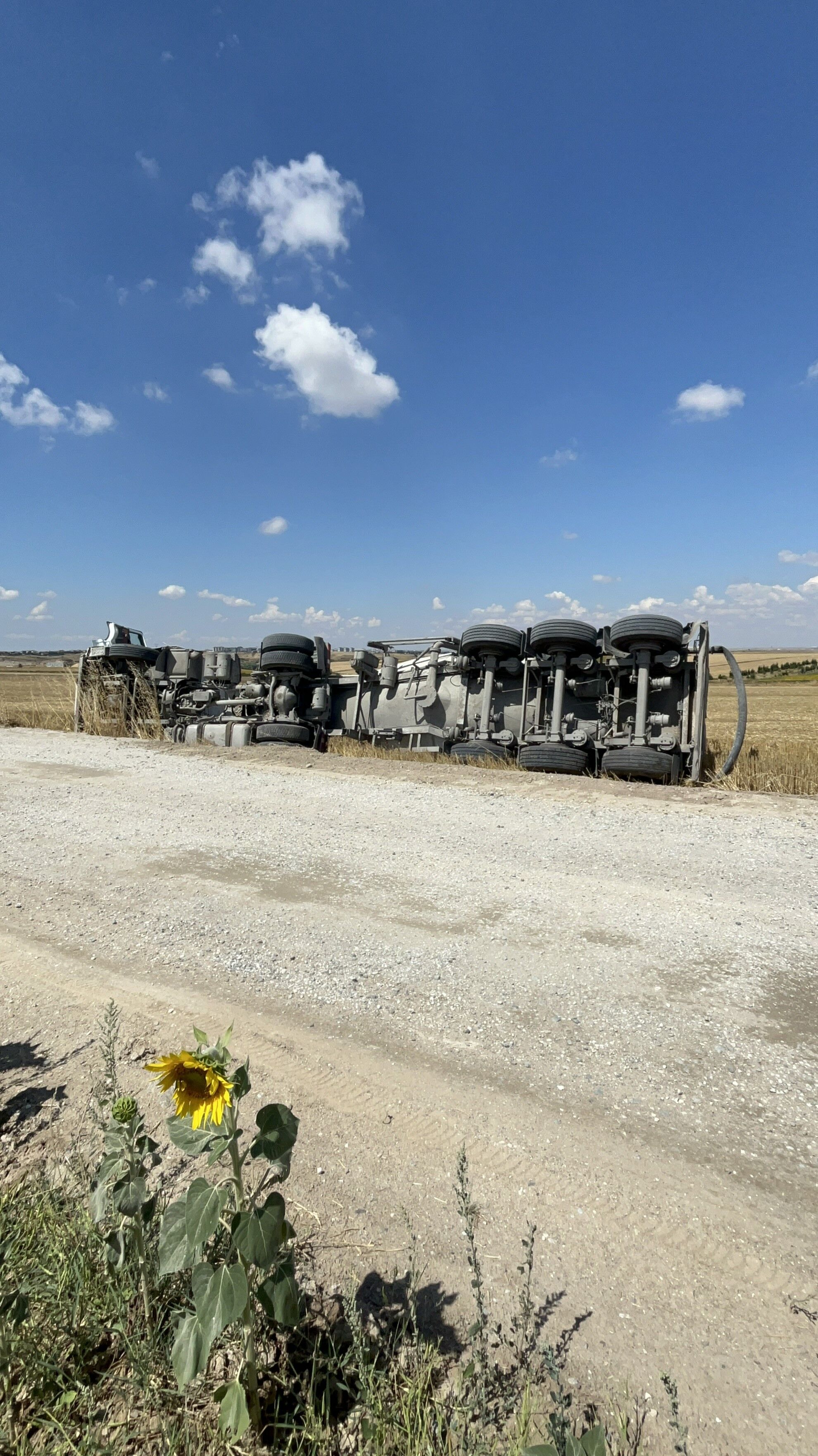 Tekirdağ Tır (2)