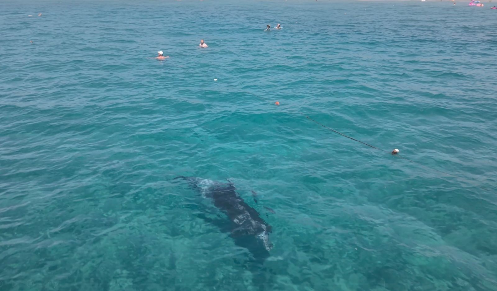 Alanya Yunus (2)-1