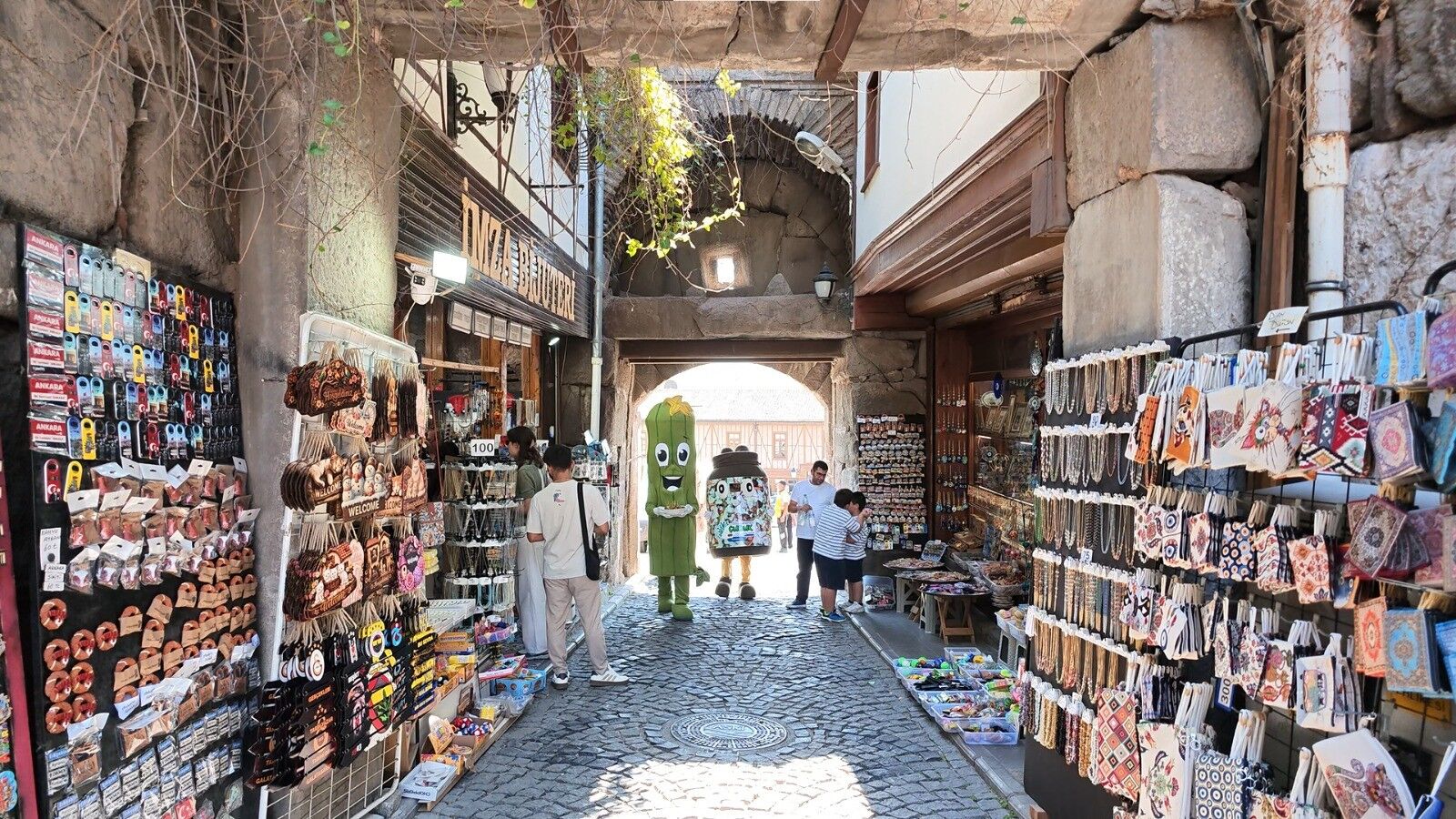 Ankara Turşucan (1)