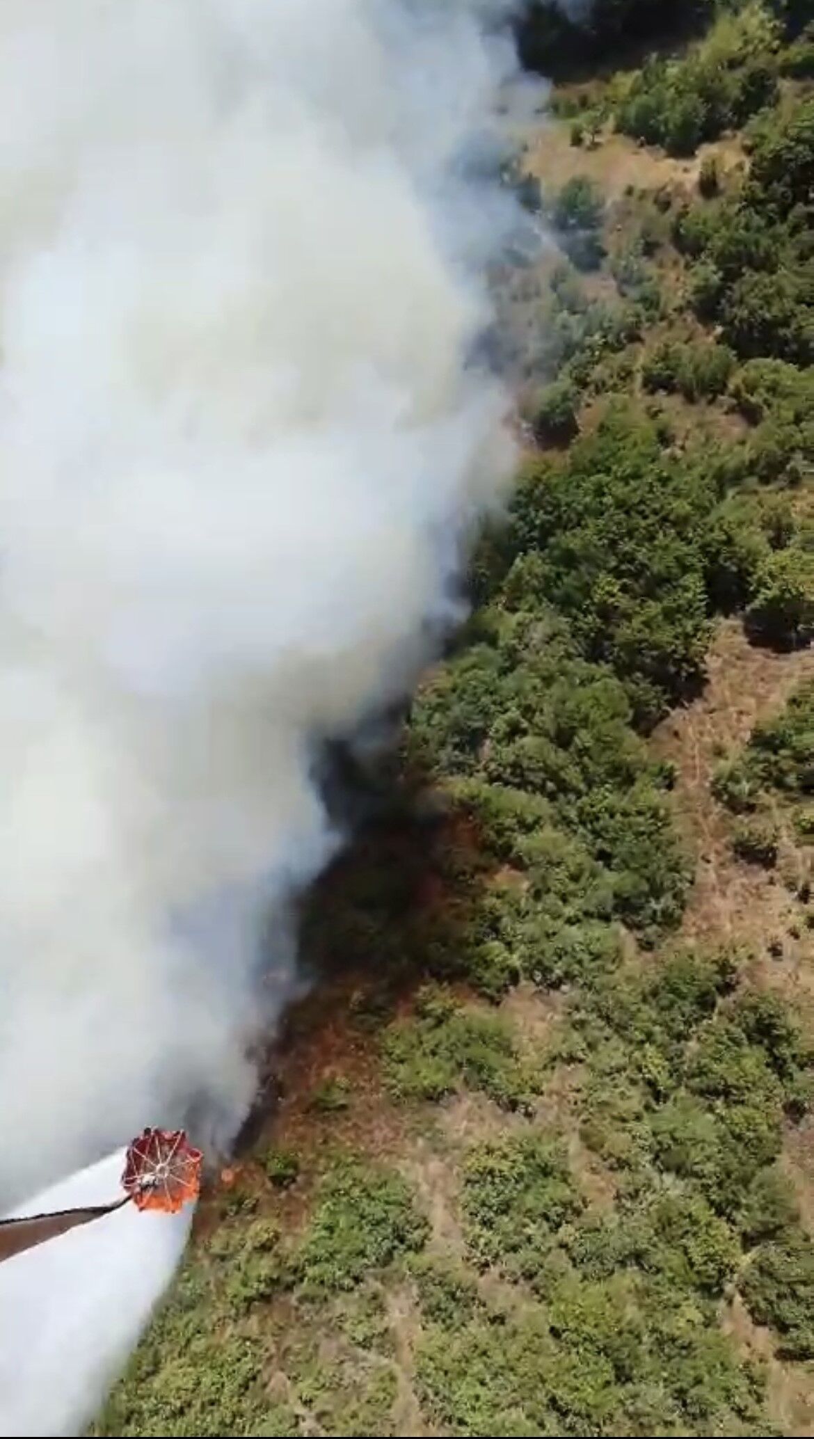 Bursa Orman Yangını 2 (1)