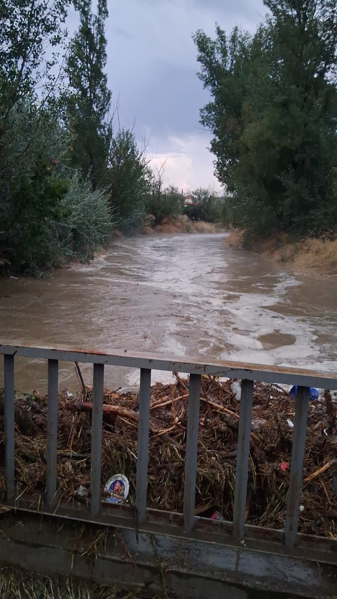 Yaşam-Çevre