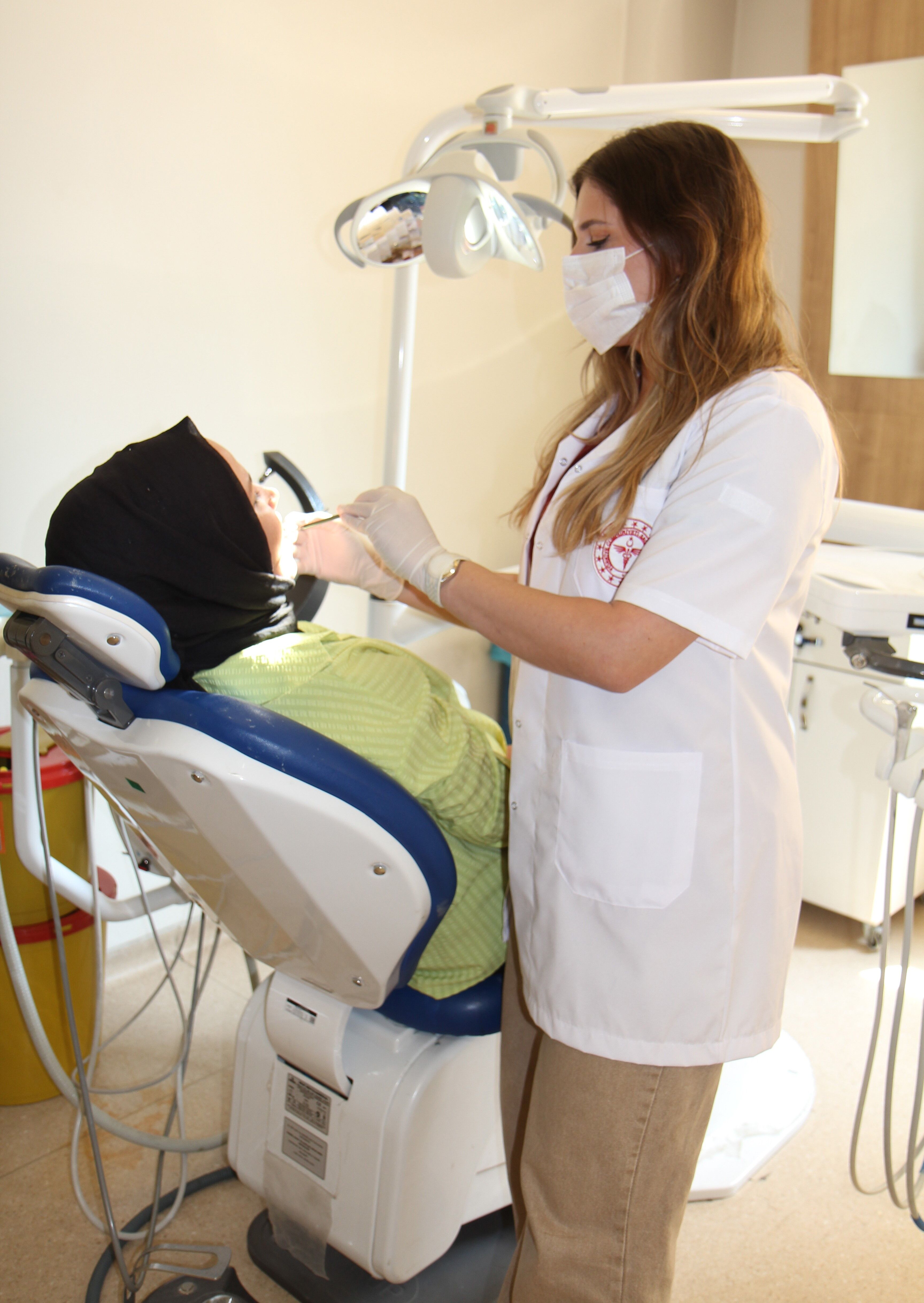 Diş3