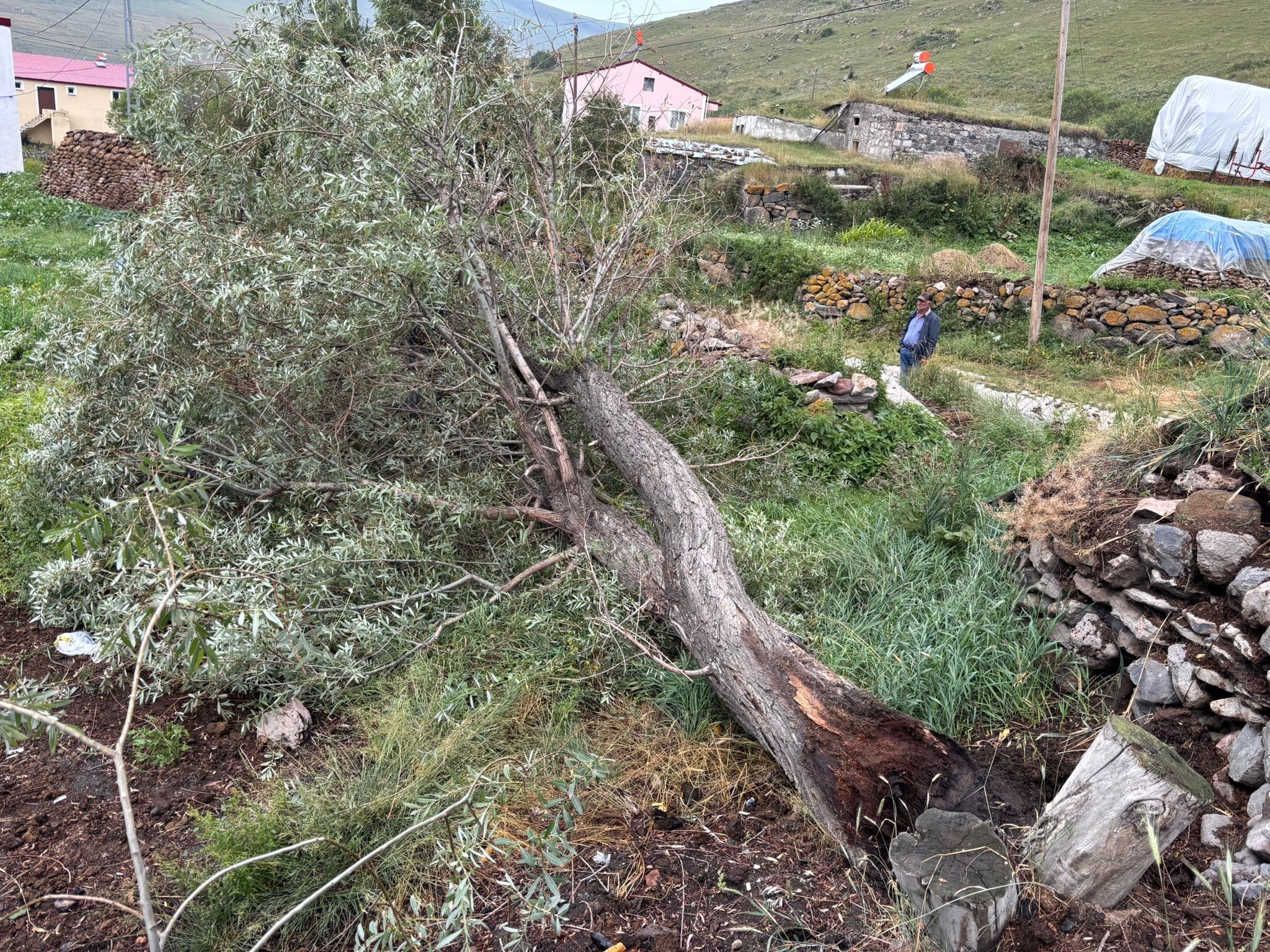 Fırtına (3)