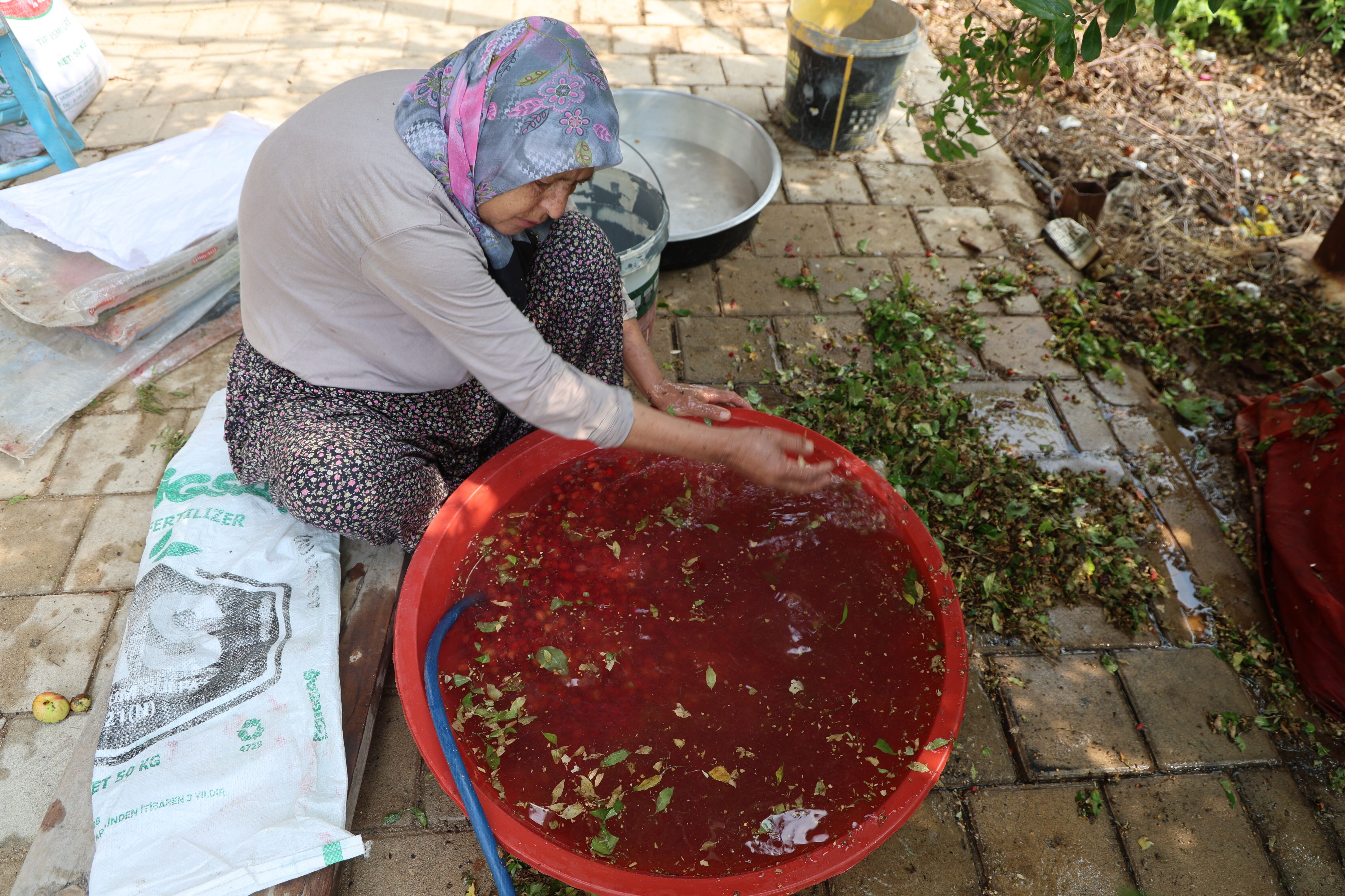 Kızılcı Şerbeti (4)