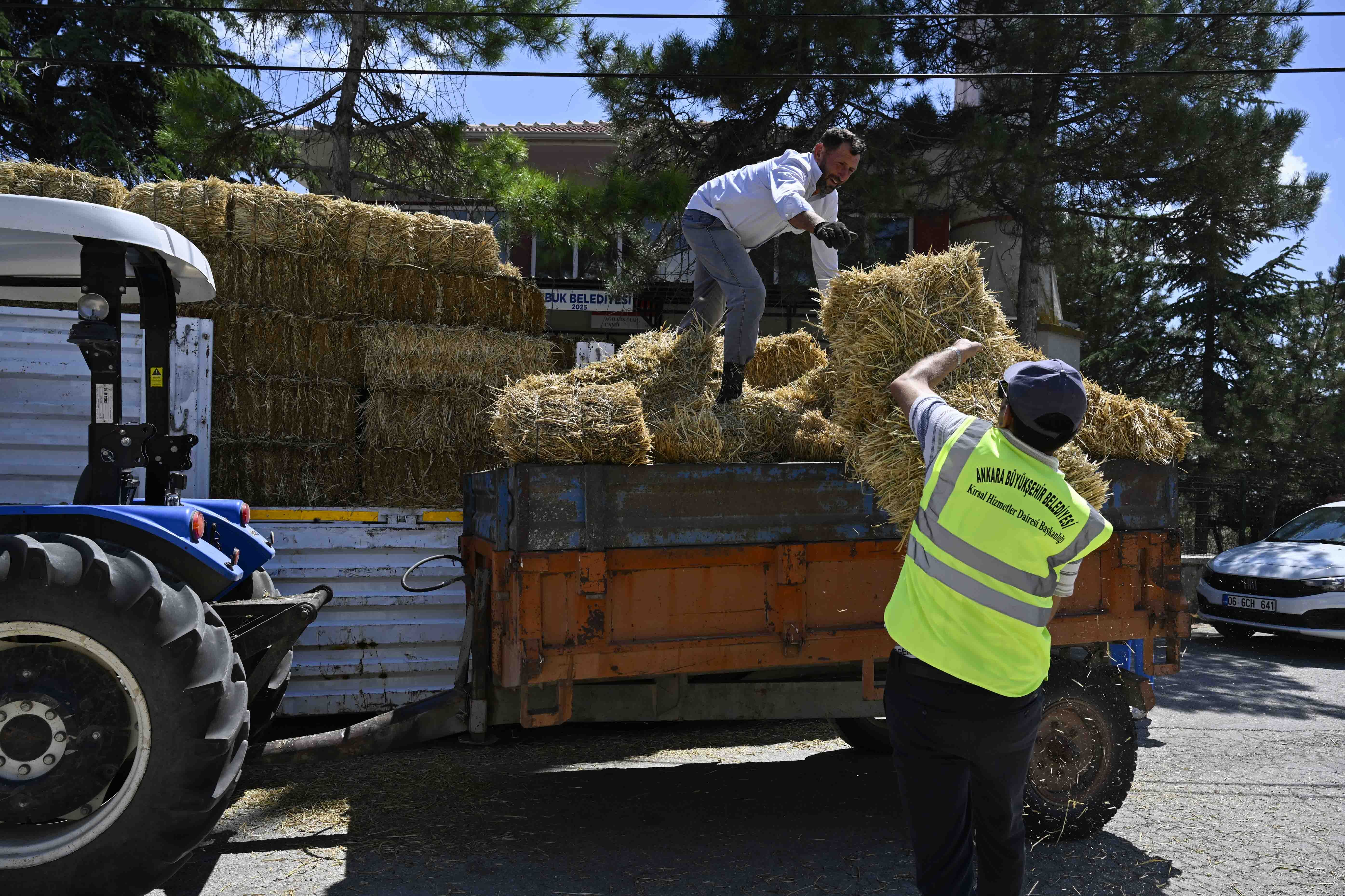 Manda Yetiştiricilerine Yüzde 100 Hibeli Yem Desteği (2)