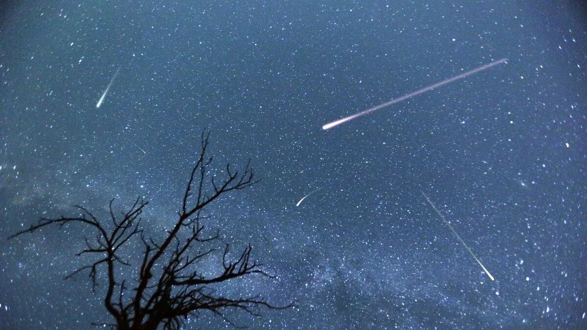 Perseid Meteor Yağmuru.jpg1