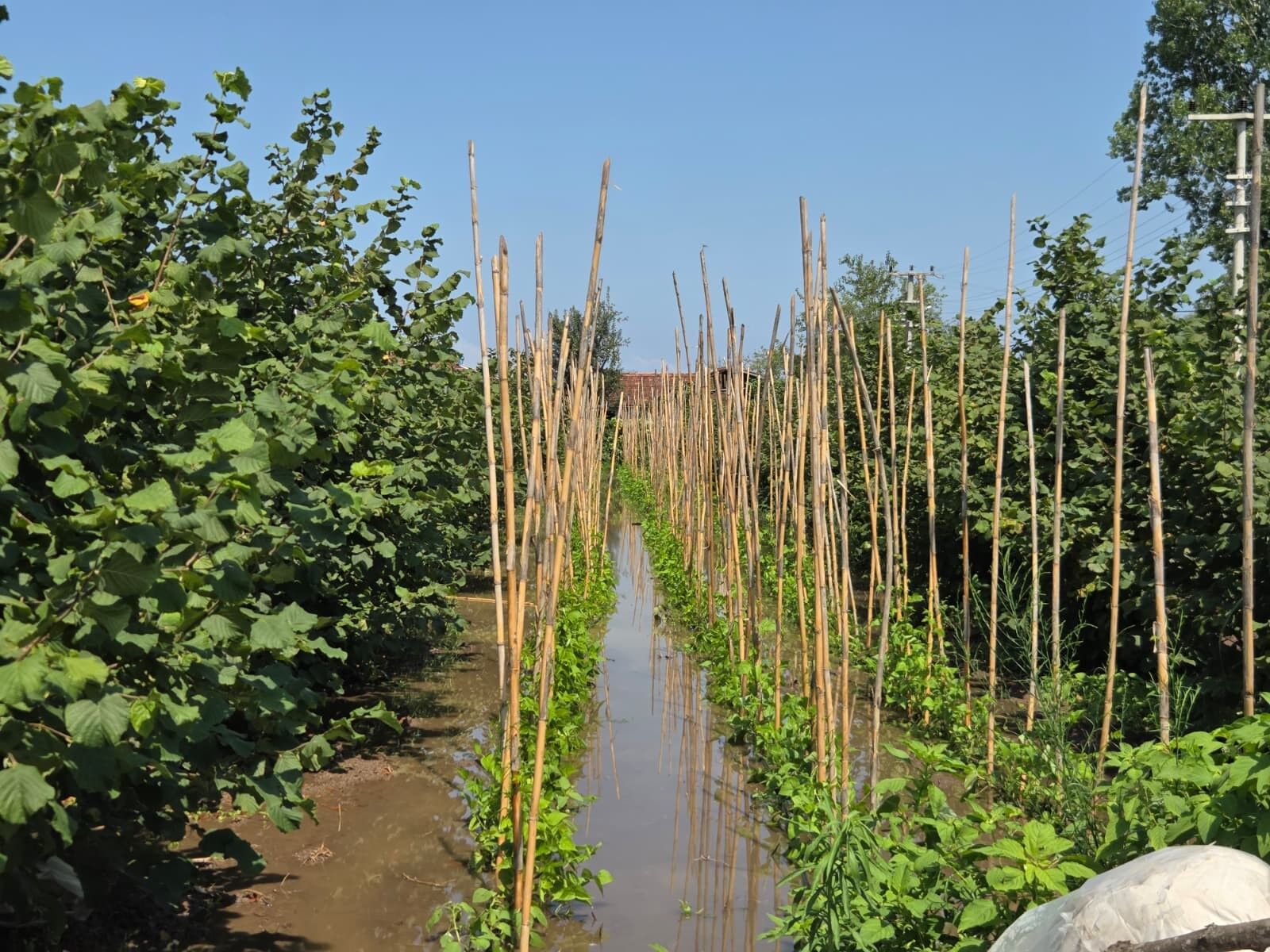 Samsun Yağmur (3)